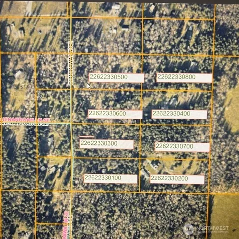 a view of a tree with a tree