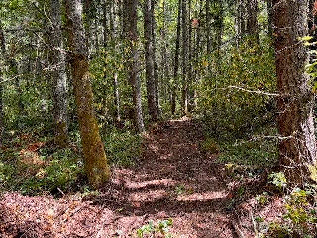 a view of a bird of the house