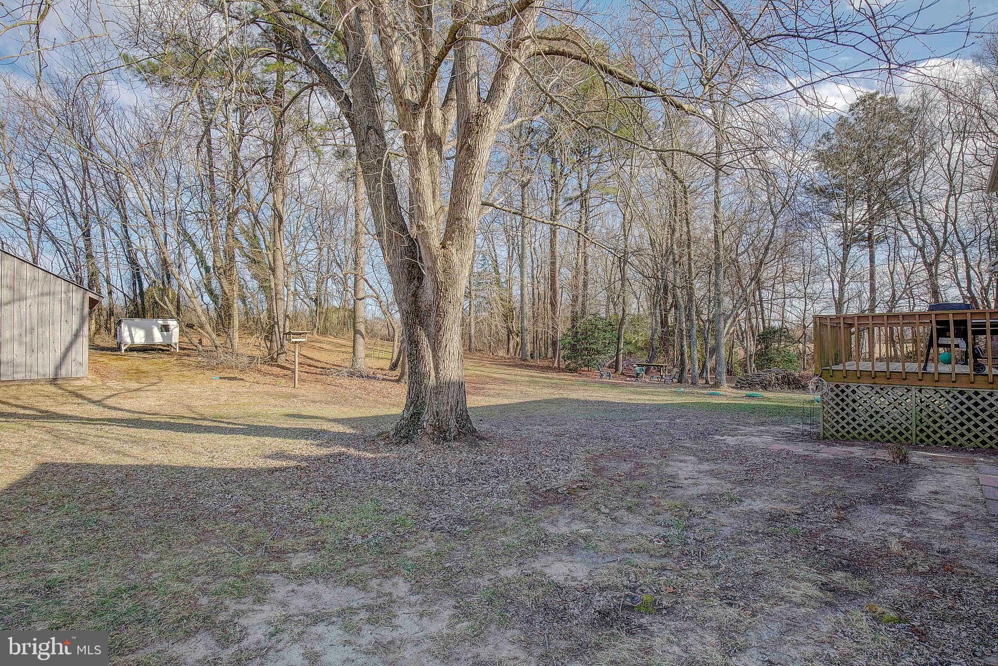 9150 Mackall Road St. Leonard, MD 20685 - Photo 35 of 48 a view of backyard with tree