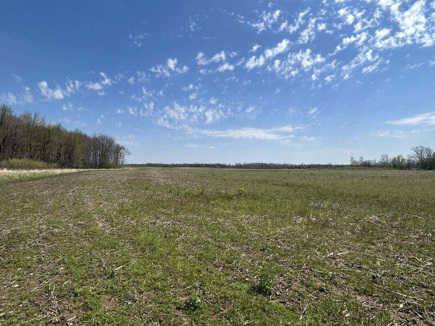 Lake Road Jonesville, MI 49250 - Photo 9 of 11 hfm9