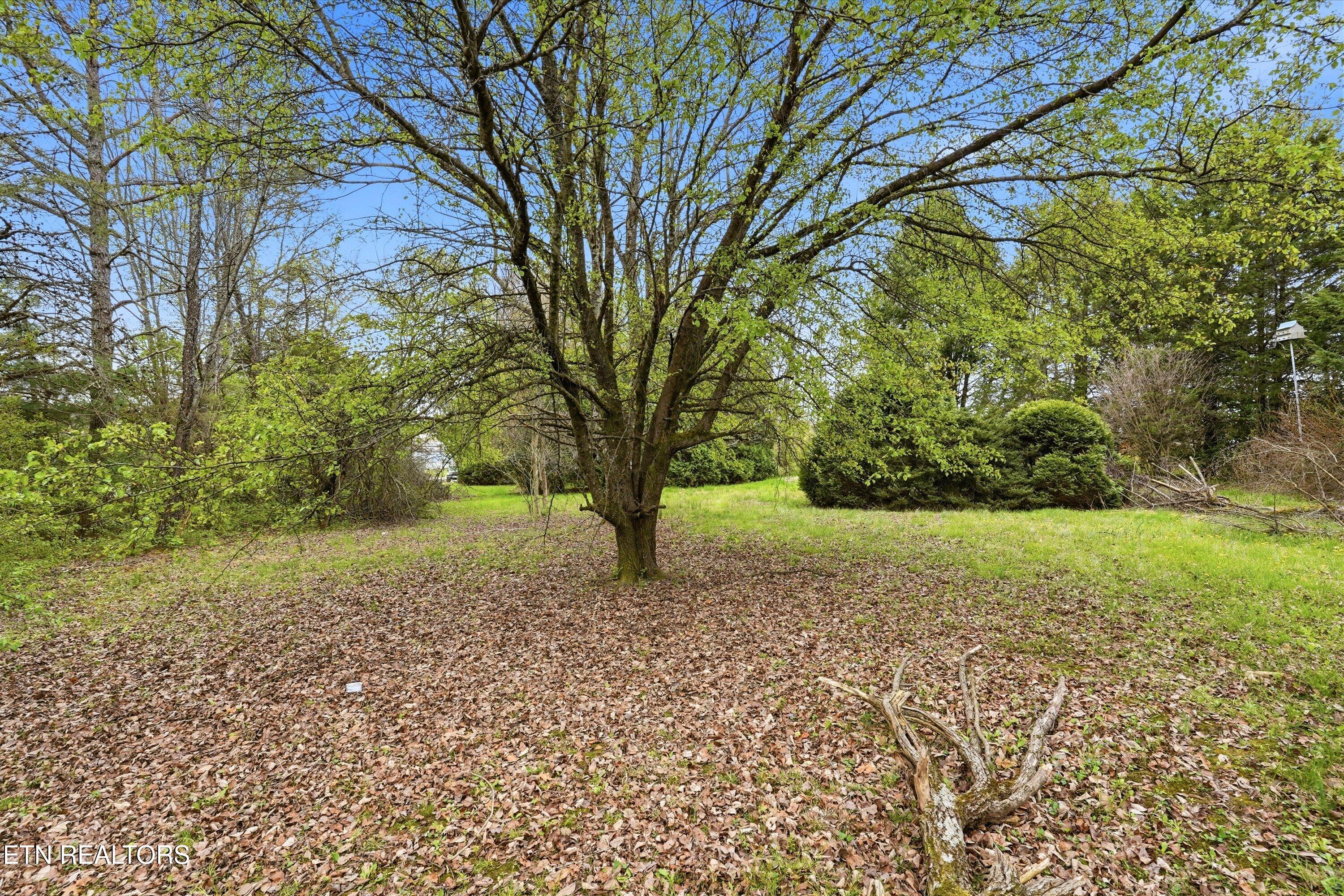 9457 Bockman Way Sparta, TN 38583 - Photo 23 of 38 23-9457 Crossville Hwy-23