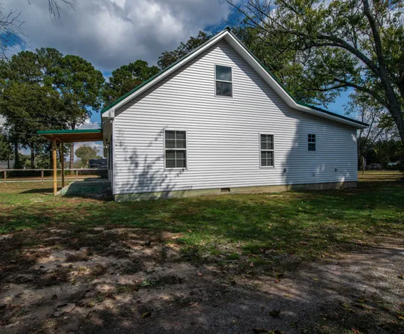 a view of a backyard with plants and large tree