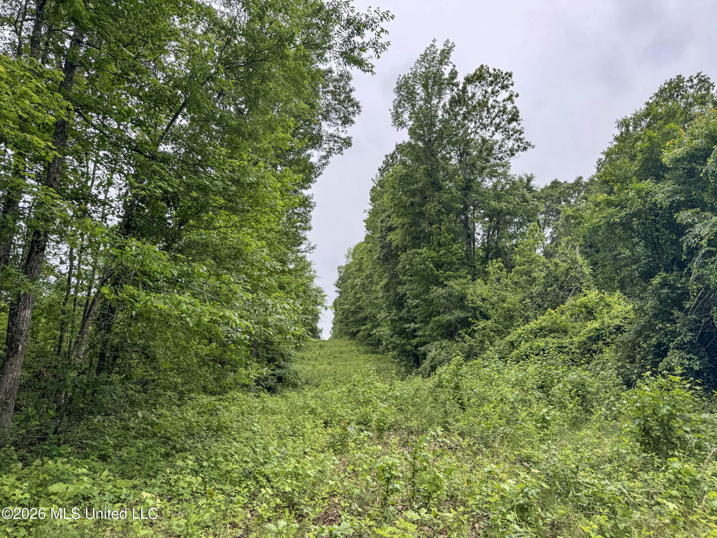 Wayne Massie Road Como, MS 38619 - Photo 122 of 184 5cdtbs59