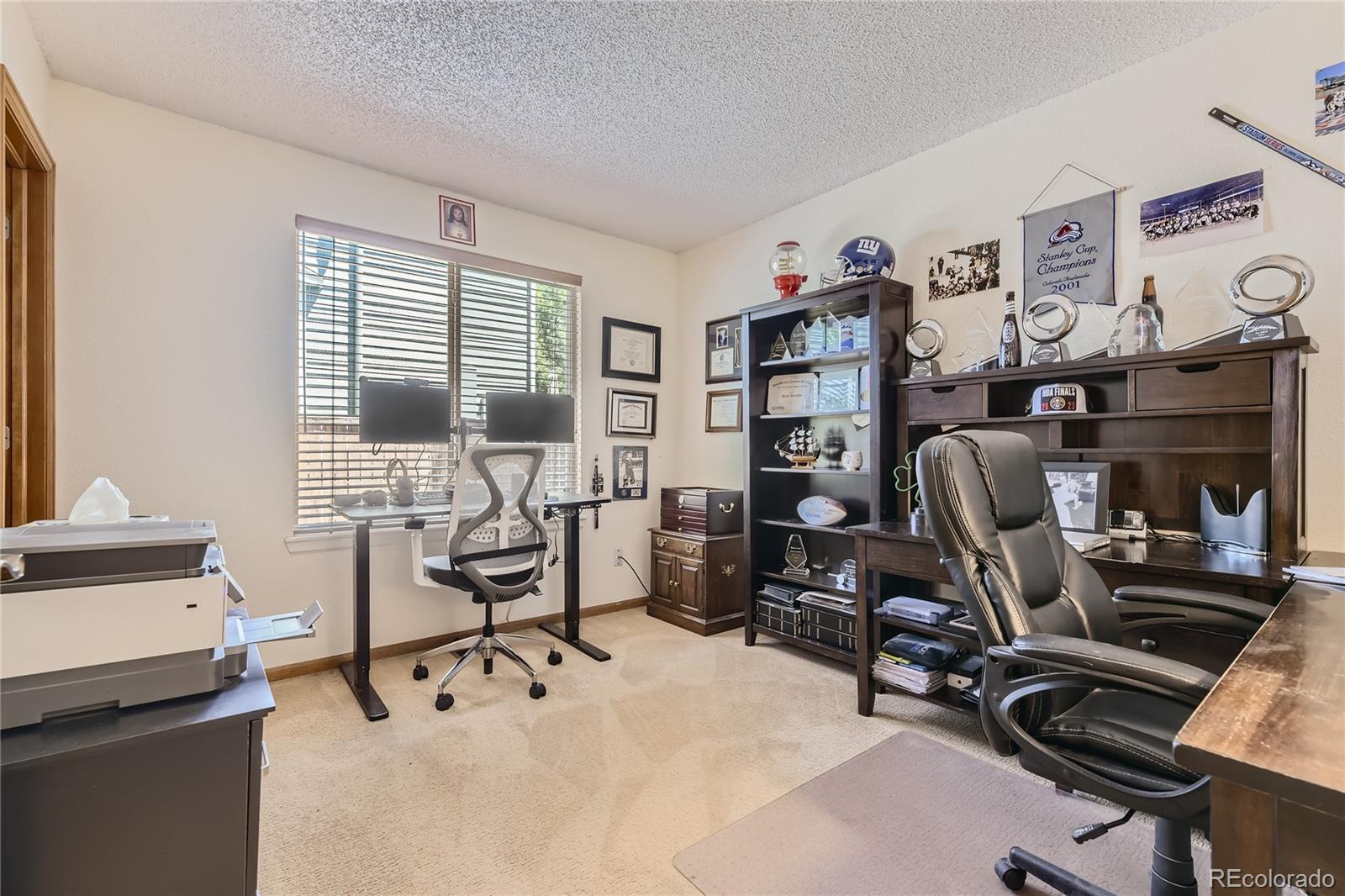 10062 Silver Maple Road Highlands Ranch, CO 80129 - Photo 16 of 40 Gallery Image 16