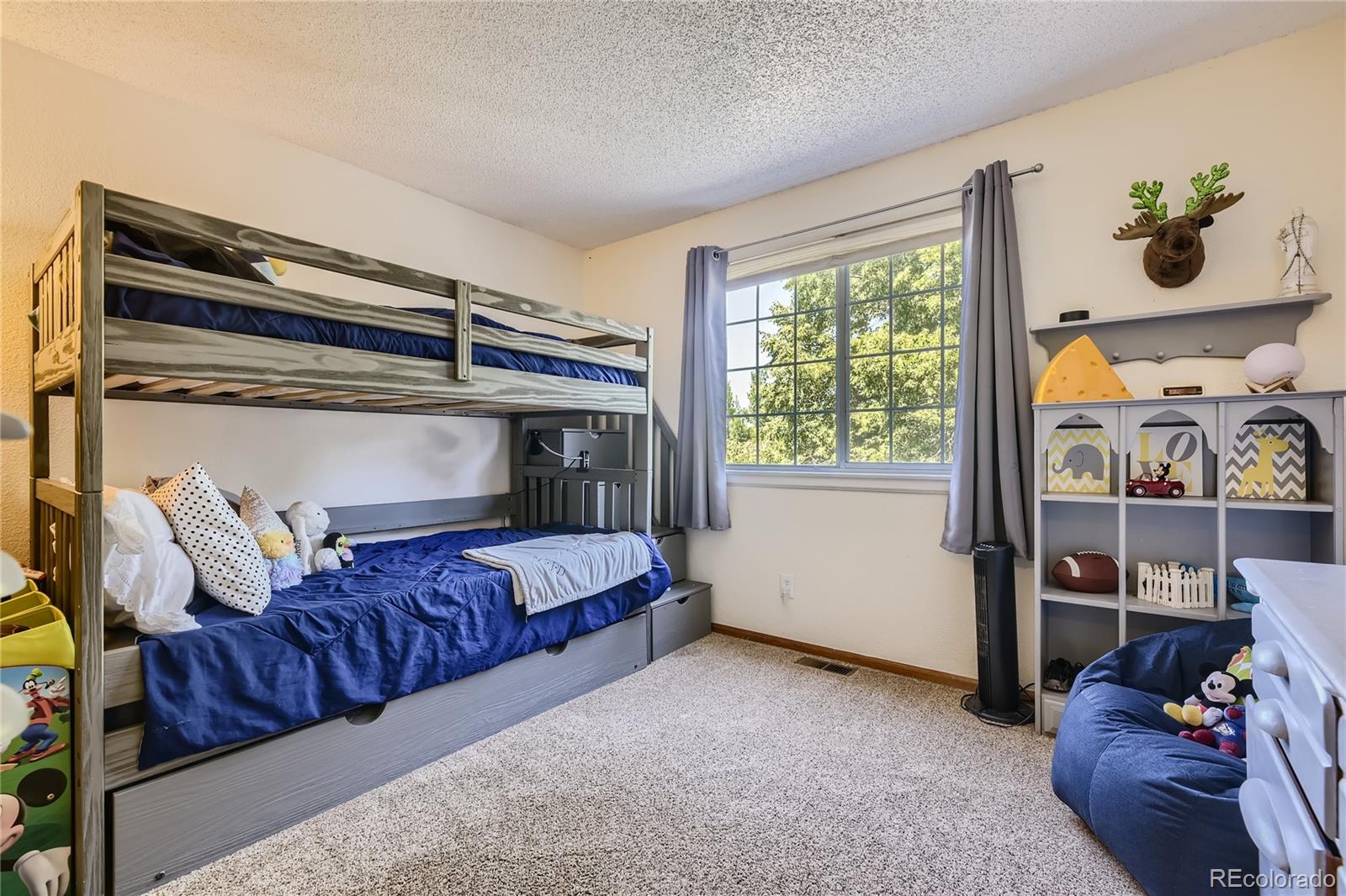 10062 Silver Maple Road Highlands Ranch, CO 80129 - Photo 23 of 40 Gallery Image 23