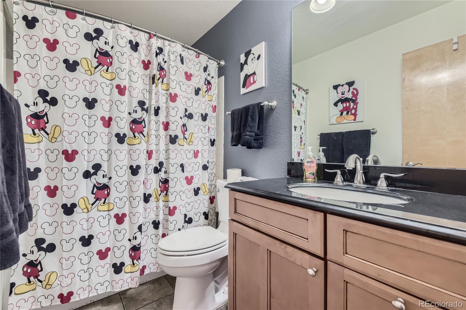 10062 Silver Maple Road Highlands Ranch, CO 80129 - Photo 24 of 40 Gallery Image 24
