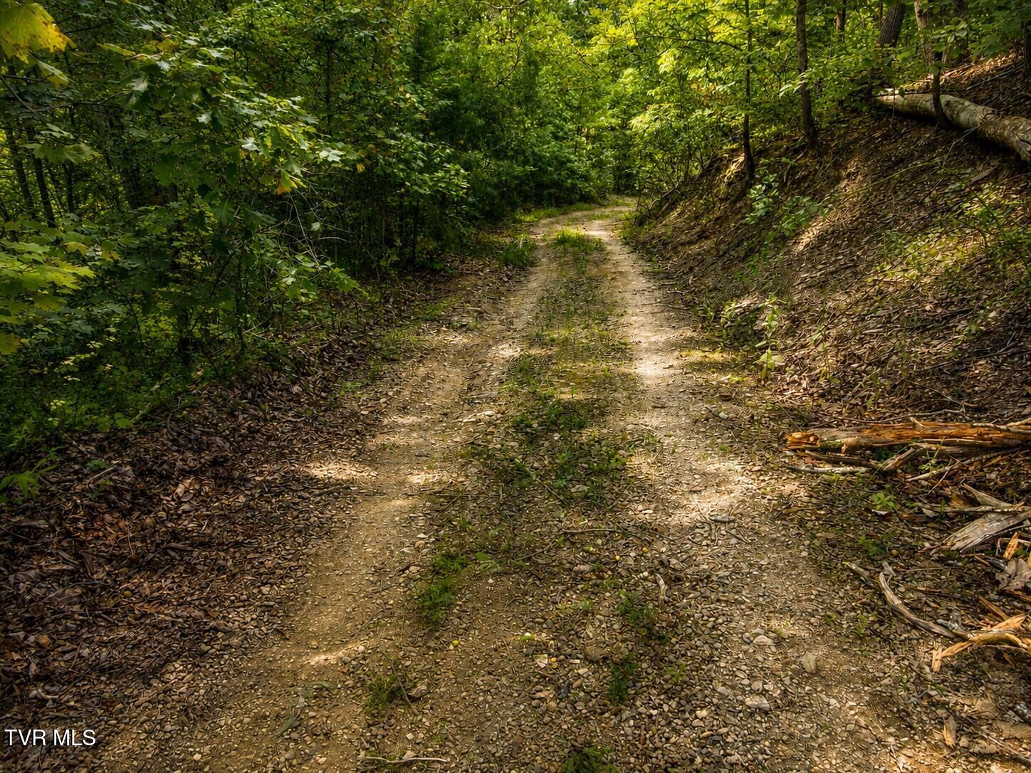 Tbd Mosier Road Johnson City, TN 37601 - Photo 26 of 32 pic 26.1