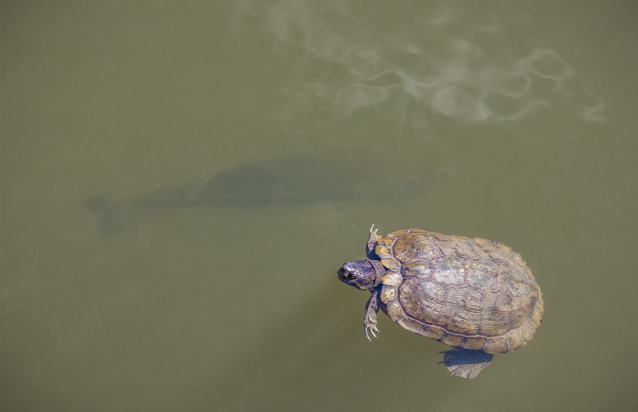 5 Golden Meadow Lane Fallbrook, CA 92028 - Photo 22 of 23