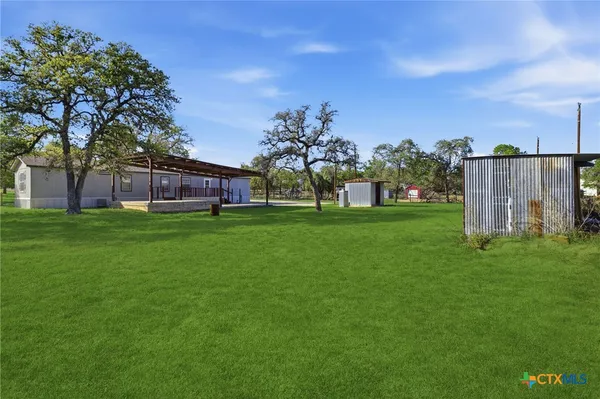 a view of a yard with a tree