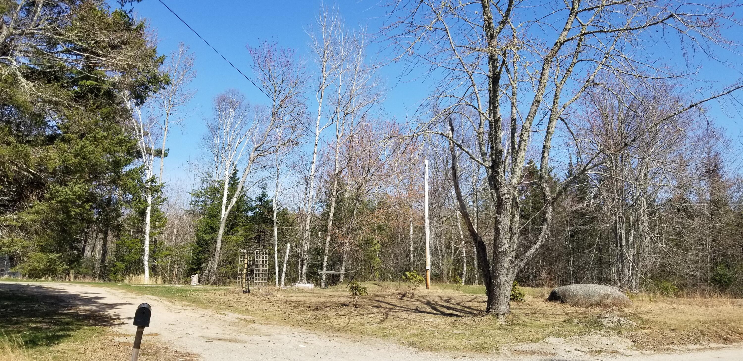953 Toddy Pond Road Surry, ME 04684 - Photo 8 of 23 20210415_141541