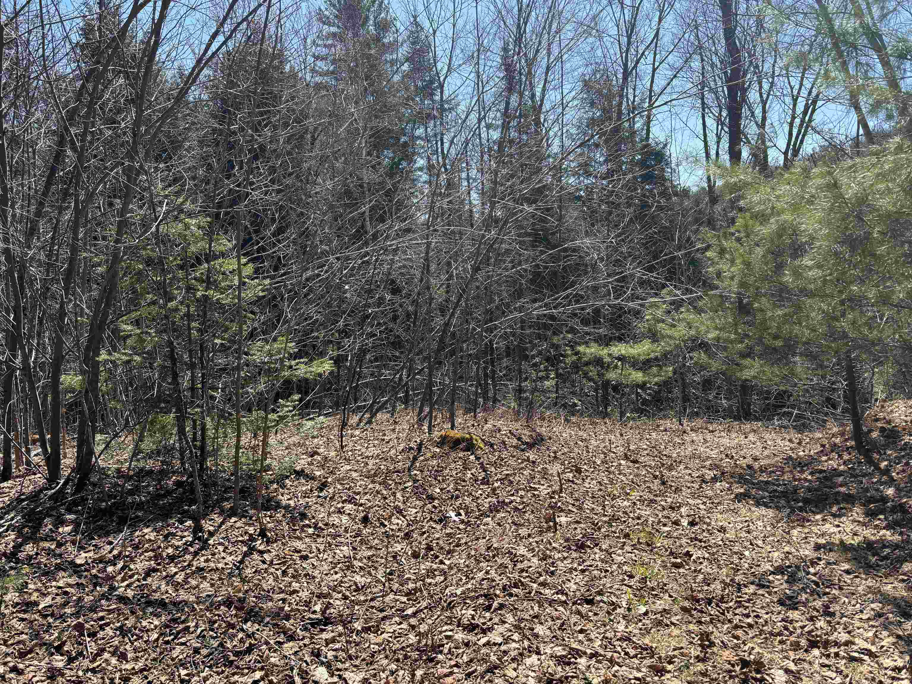 1201 East Peacham Road Barnet, VT 05821 - Photo 2 of 9 Gallery Image 2
