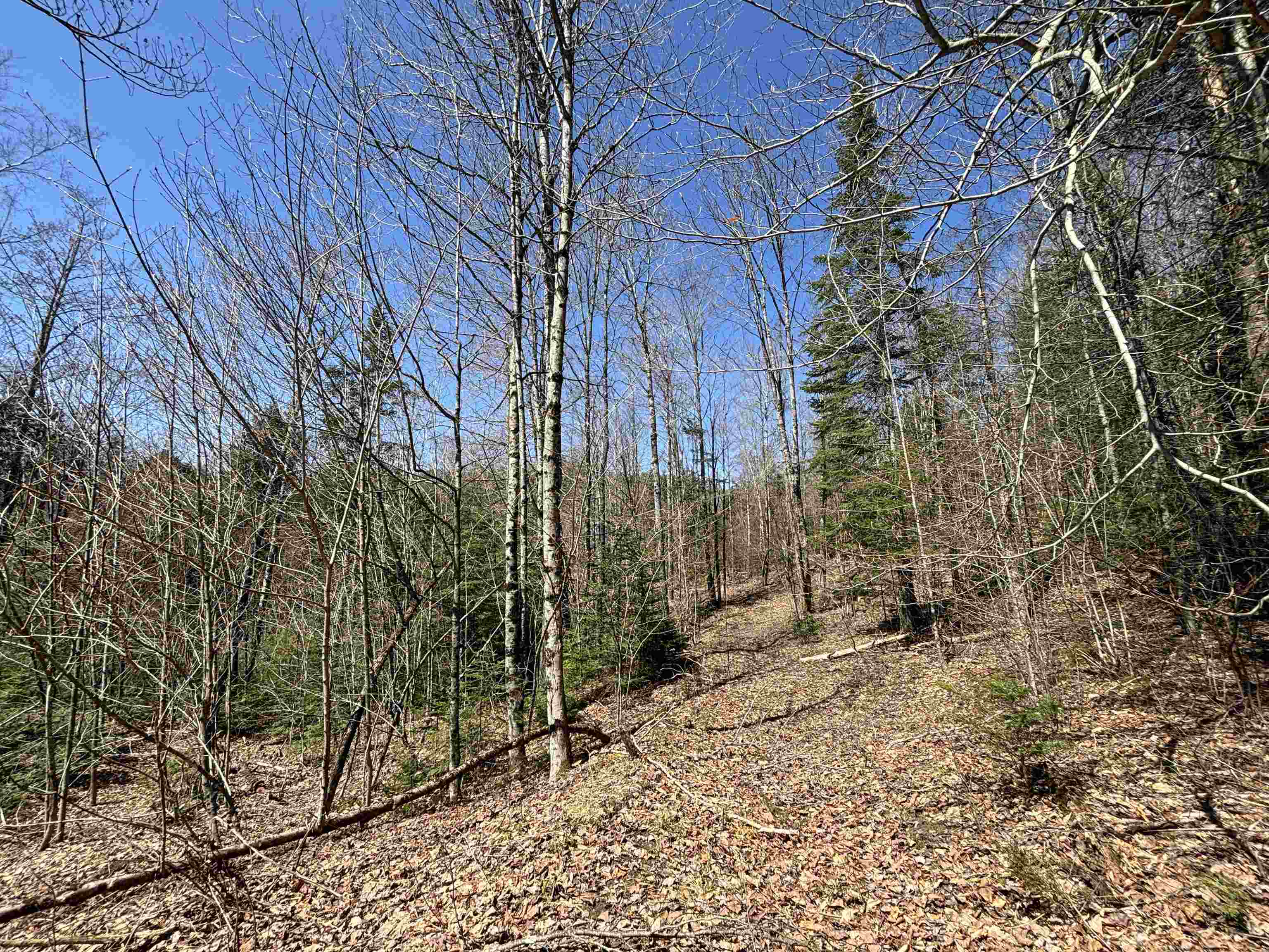 1201 East Peacham Road Barnet, VT 05821 - Photo 4 of 9 Gallery Image 4