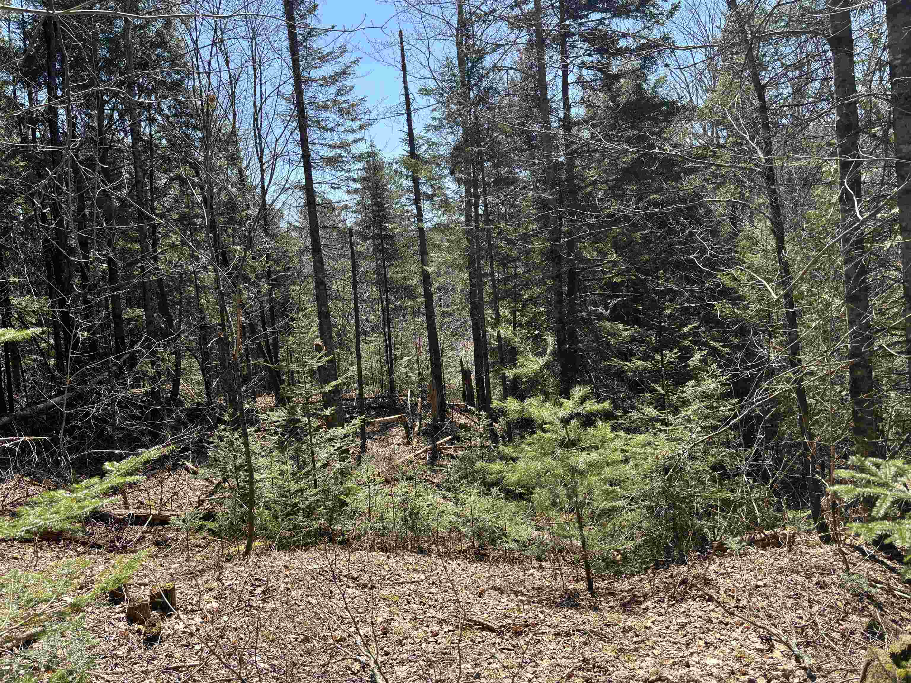1201 East Peacham Road Barnet, VT 05821 - Photo 5 of 9 Gallery Image 5