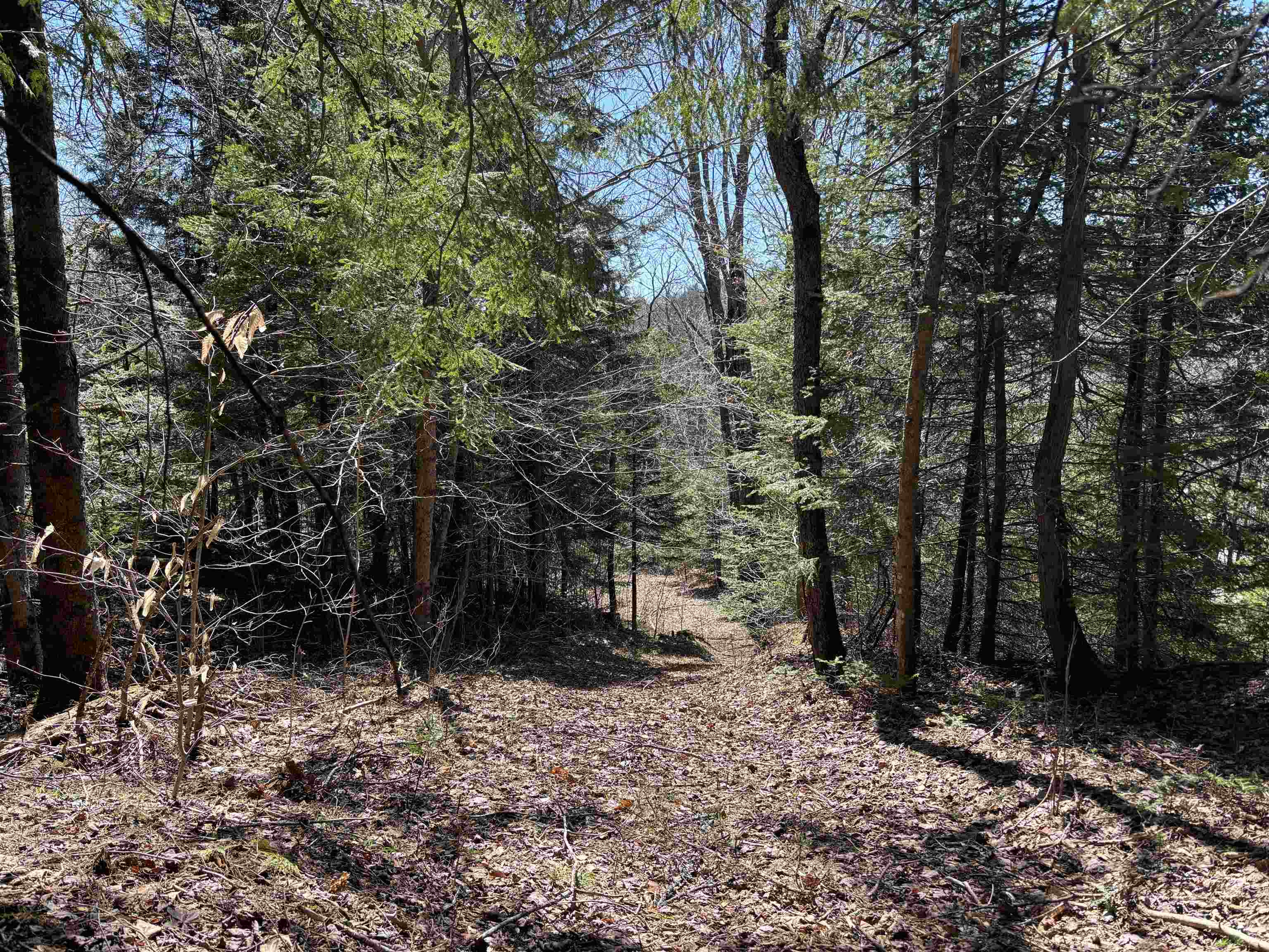 1201 East Peacham Road Barnet, VT 05821 - Photo 6 of 9 Gallery Image 6