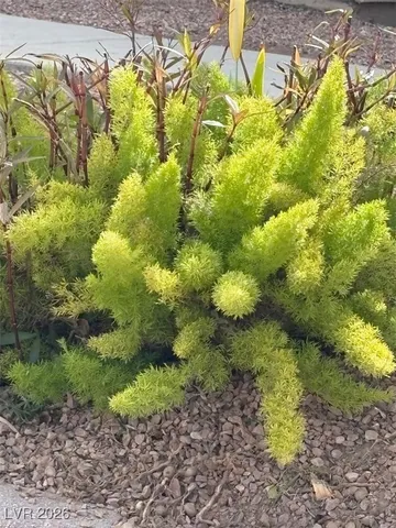 $2,400 | 8945 Goddess Court, Las Vegas, NV 89117