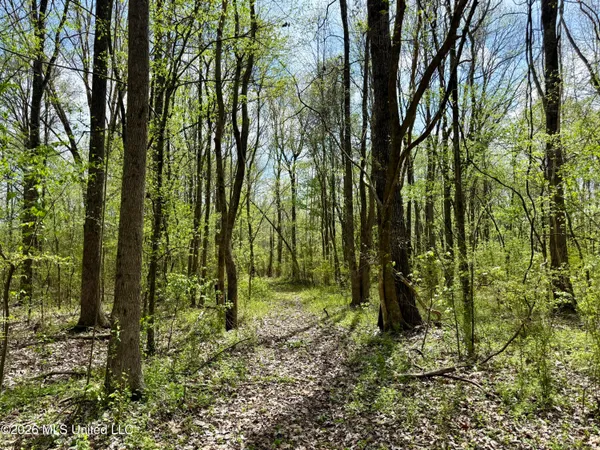 $139,900 | Duram Road, Olive Branch, MS 38654