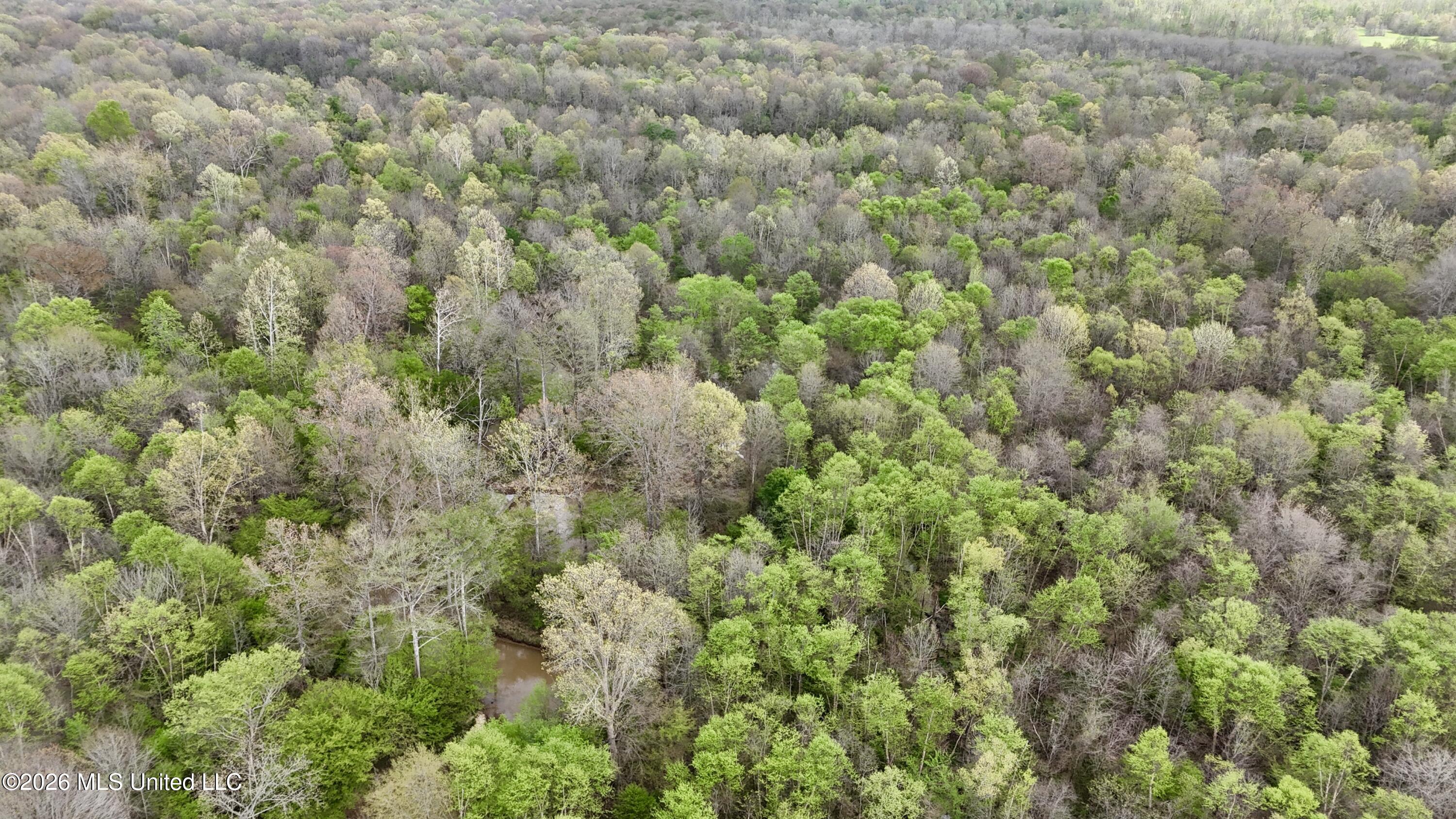 Duram Road Olive Branch, MS 38654 - Photo 11 of 21 dji_fly_20260327_162900_0238_17764371616