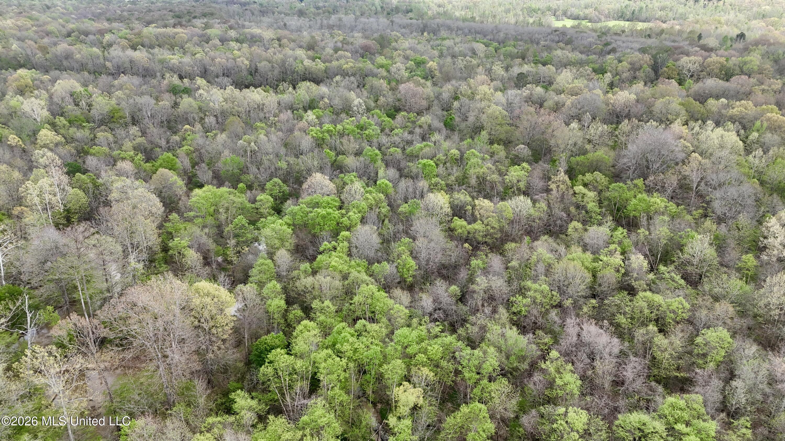 Duram Road Olive Branch, MS 38654 - Photo 12 of 21 dji_fly_20260327_162906_0239_17764371619