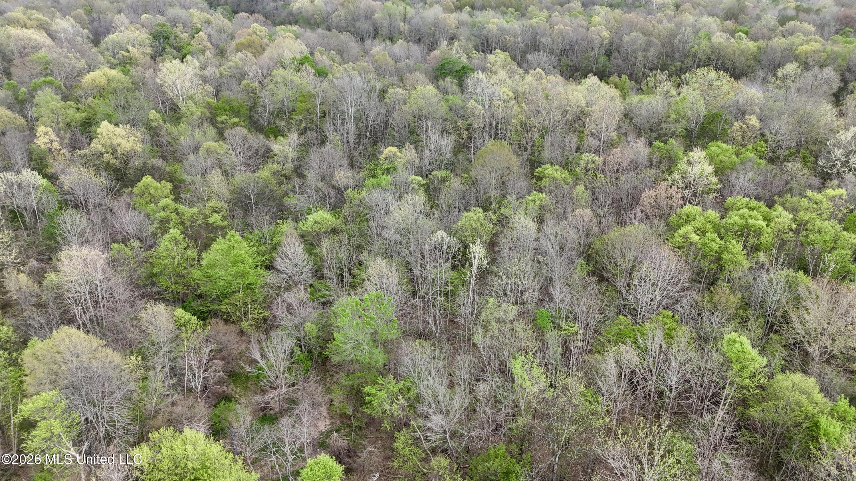 Duram Road Olive Branch, MS 38654 - Photo 13 of 21 dji_fly_20260327_162920_0240_17764371623