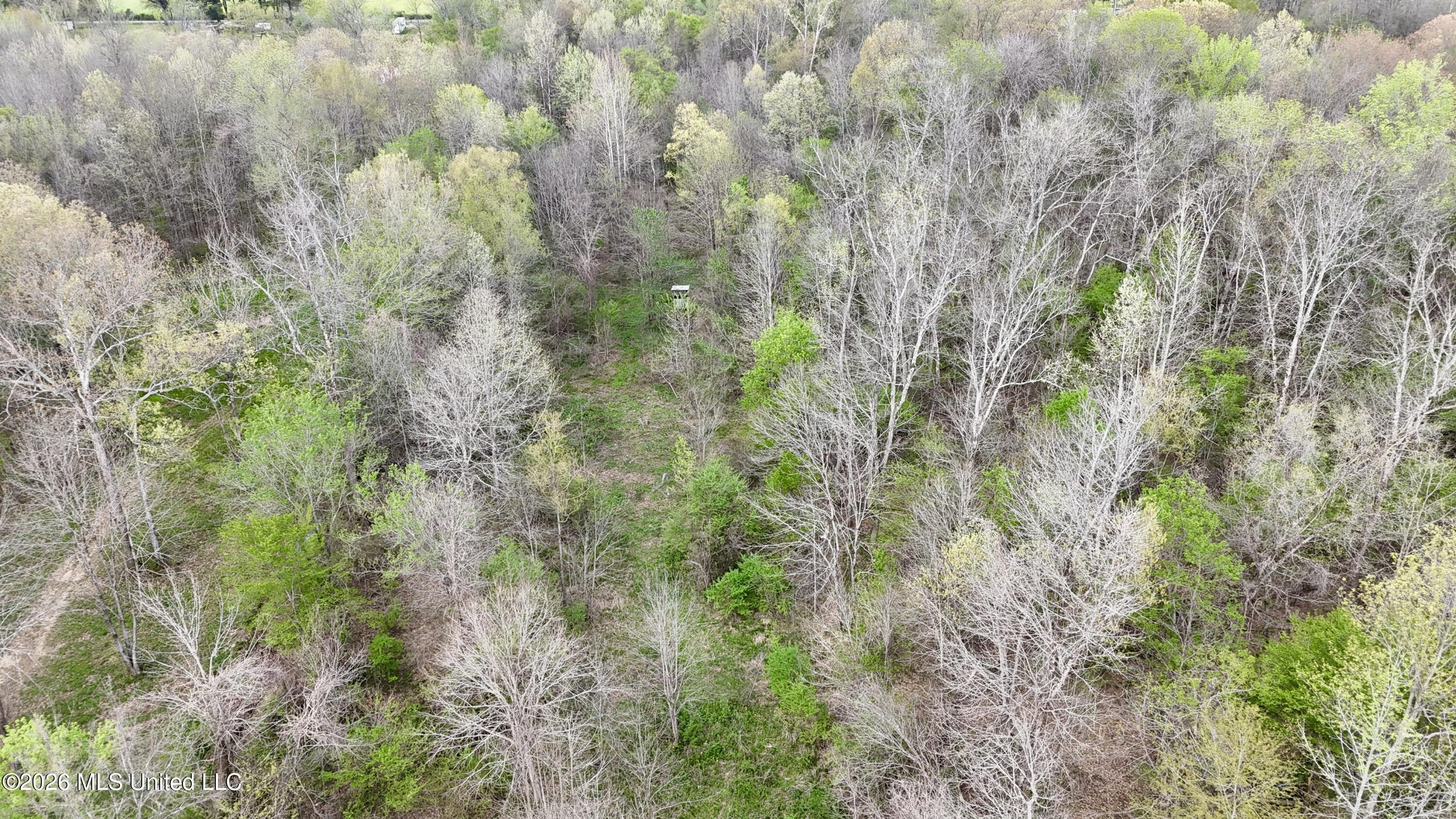 Duram Road Olive Branch, MS 38654 - Photo 15 of 21 dji_fly_20260327_163008_0242_17764371635