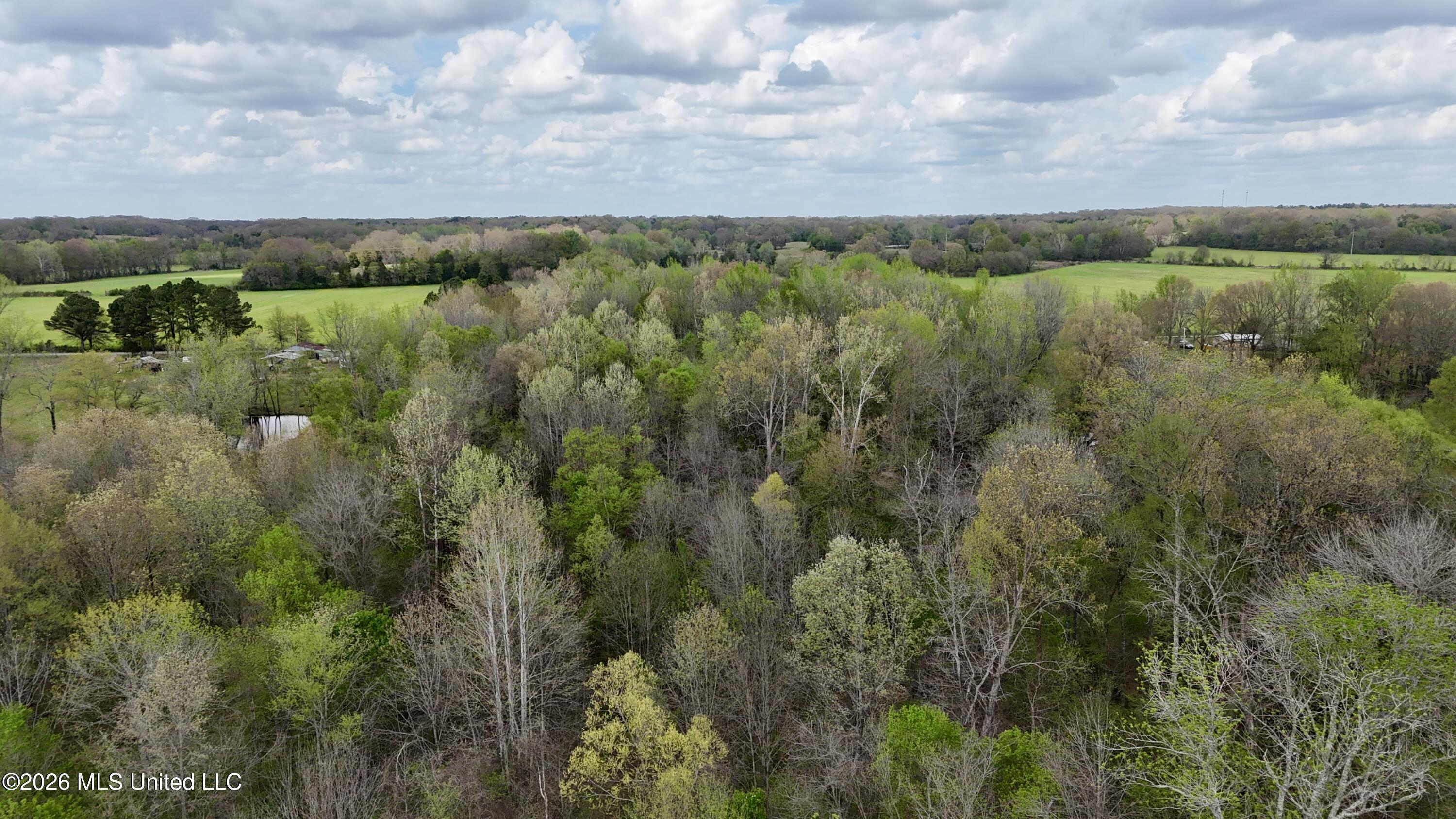 Duram Road Olive Branch, MS 38654 - Photo 16 of 21 dji_fly_20260327_163014_0243_17764371630