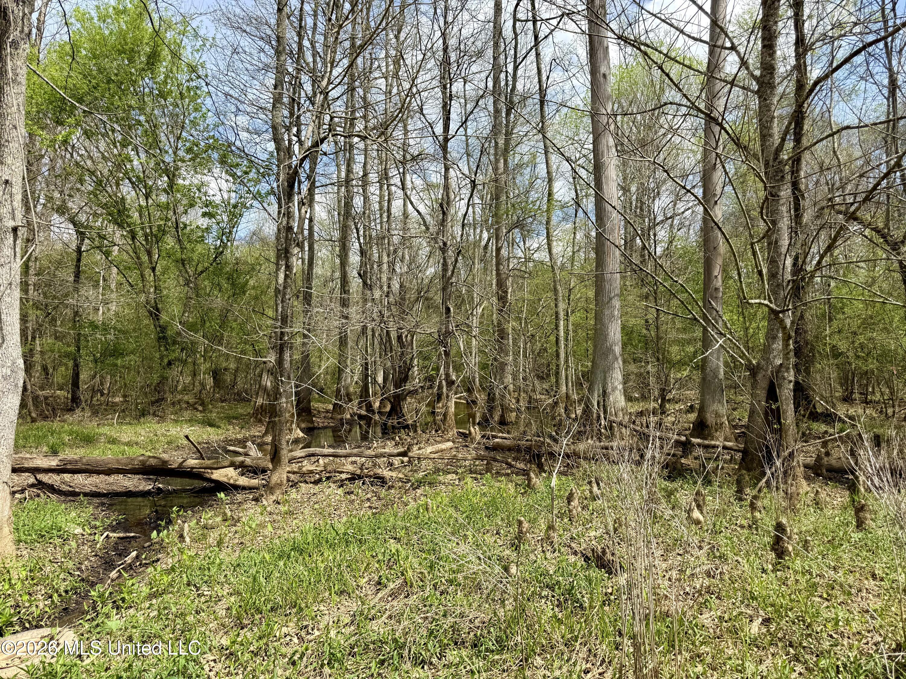 Duram Road Olive Branch, MS 38654 - Photo 19 of 21 Photo Apr 01 2026, 1 41 43 PM