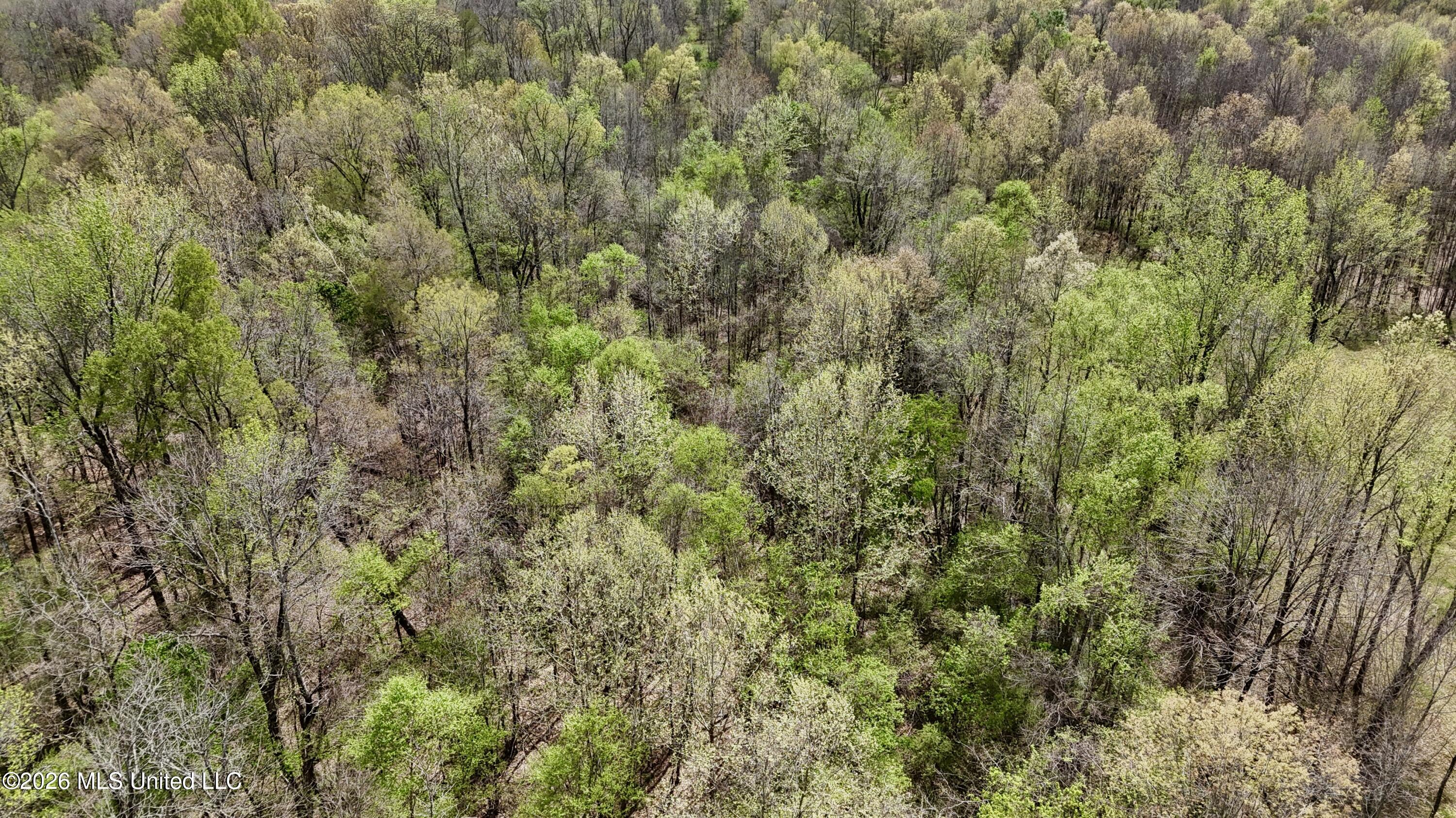 Duram Road Olive Branch, MS 38654 - Photo 4 of 21 dji_fly_20260327_162658_0231_17764371589