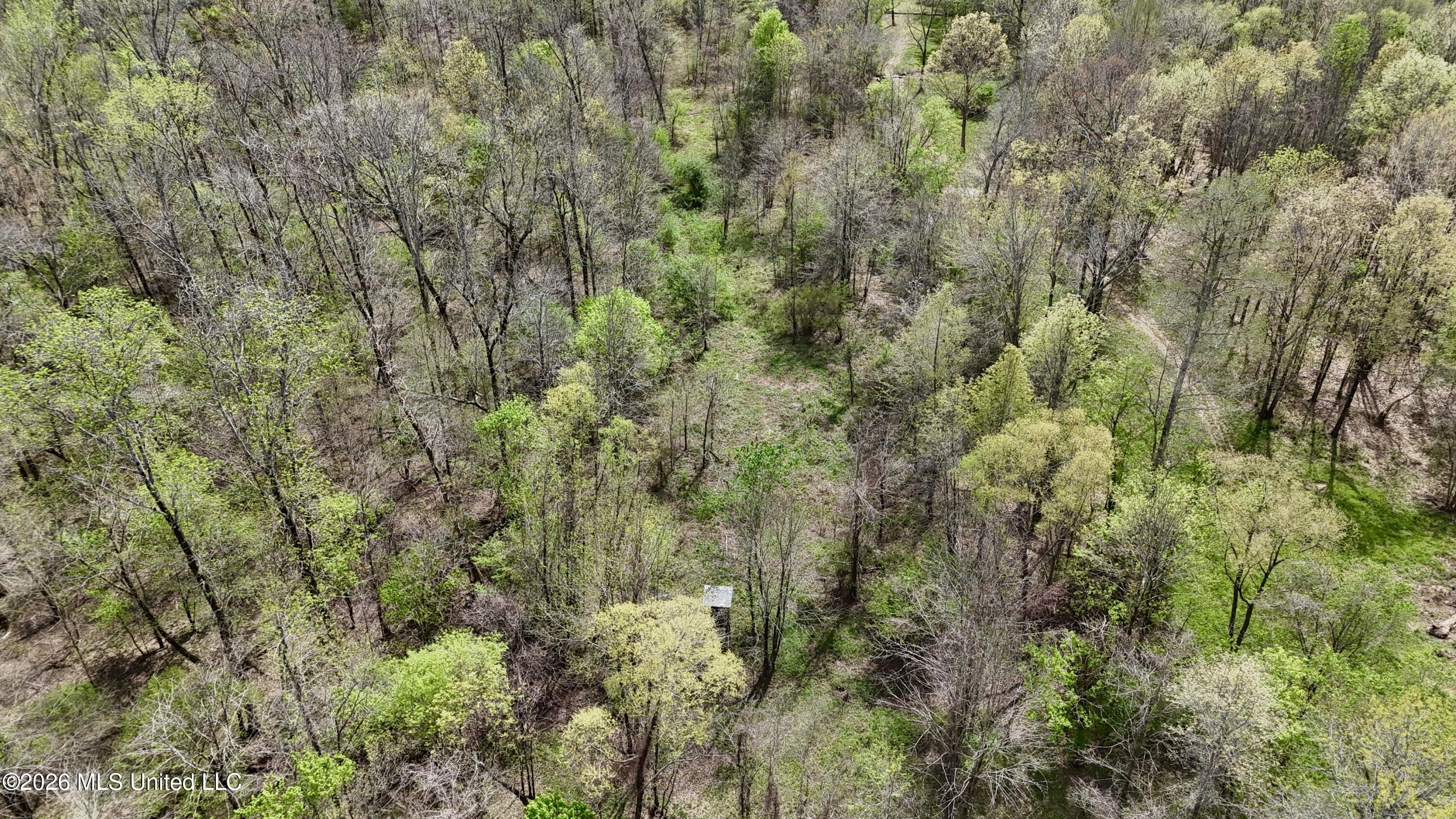 Duram Road Olive Branch, MS 38654 - Photo 5 of 21 dji_fly_20260327_162714_0232_17764371593