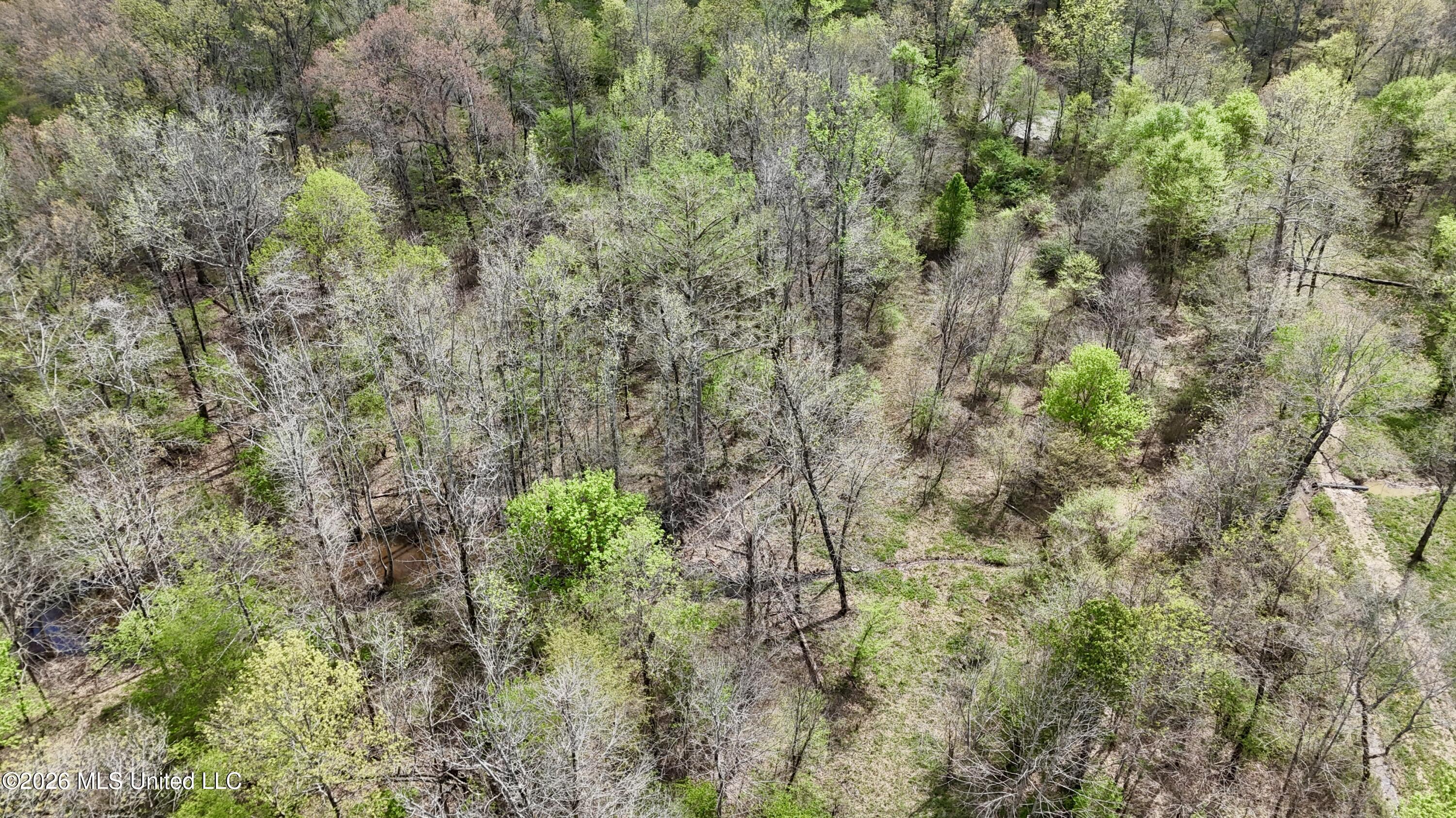 Duram Road Olive Branch, MS 38654 - Photo 6 of 21 dji_fly_20260327_162724_0233_17764371598