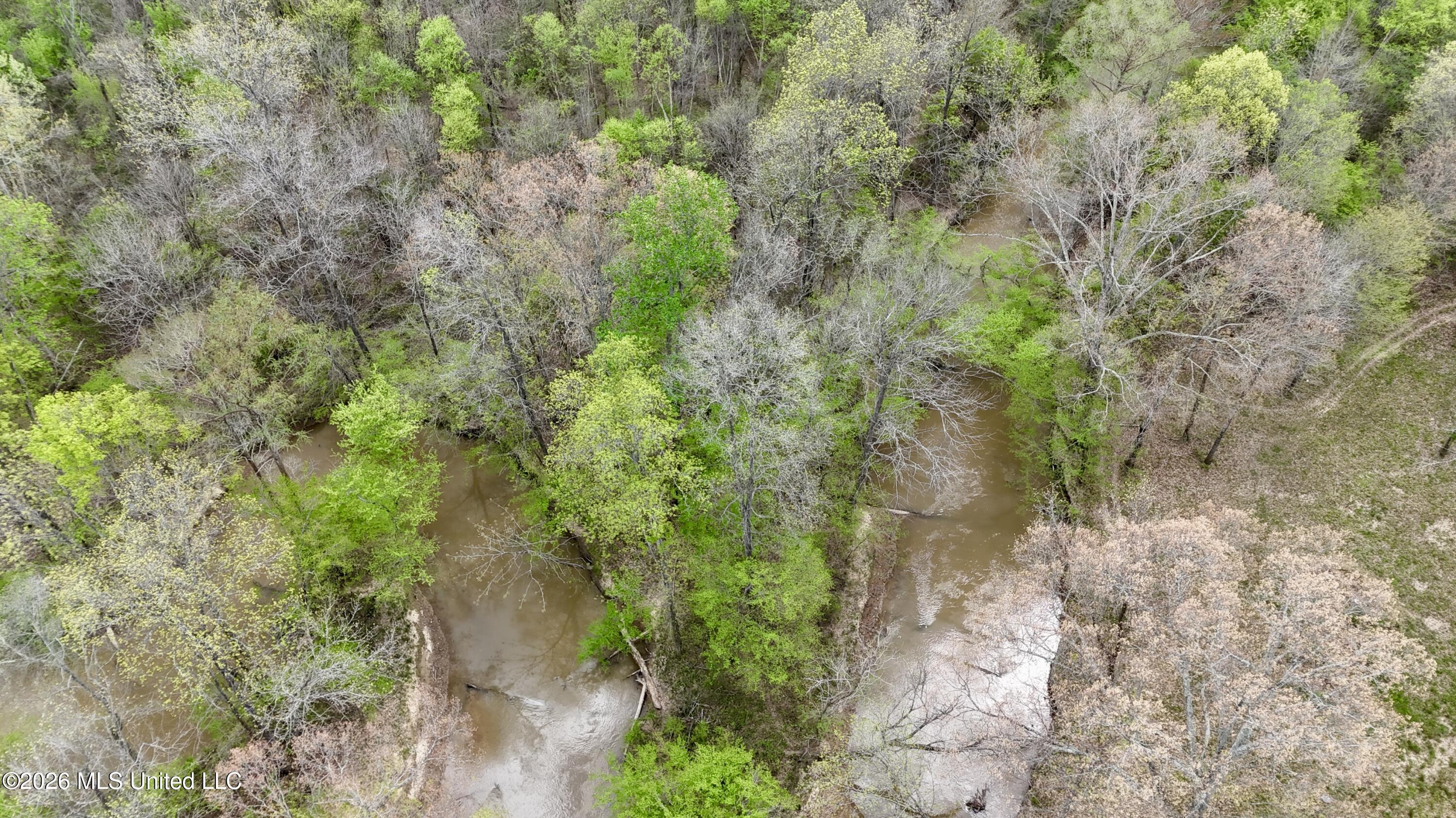 Duram Road Olive Branch, MS 38654 - Photo 7 of 21 dji_fly_20260327_162744_0234_17764371601