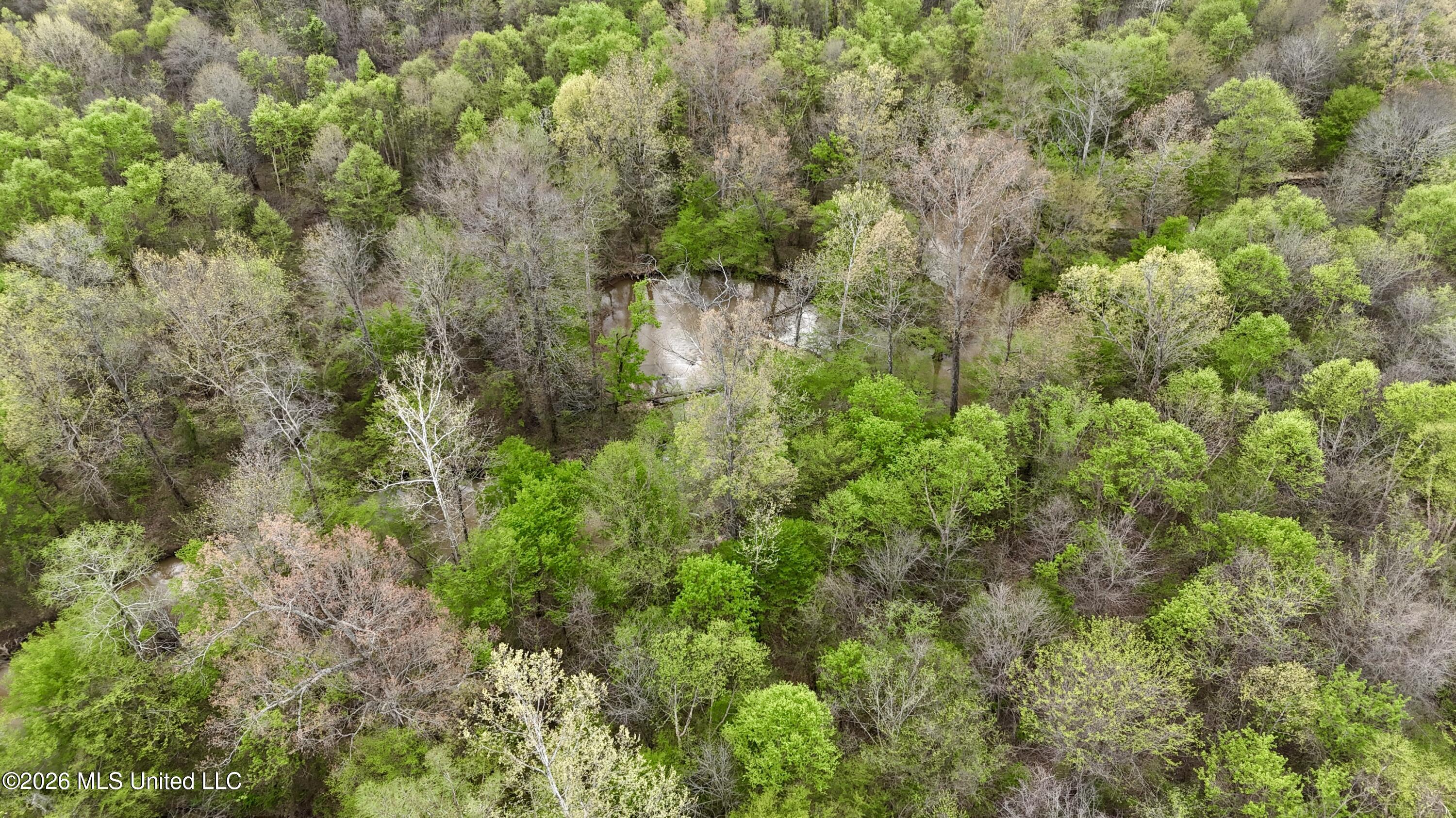 Duram Road Olive Branch, MS 38654 - Photo 8 of 21 dji_fly_20260327_162820_0235_17764371605