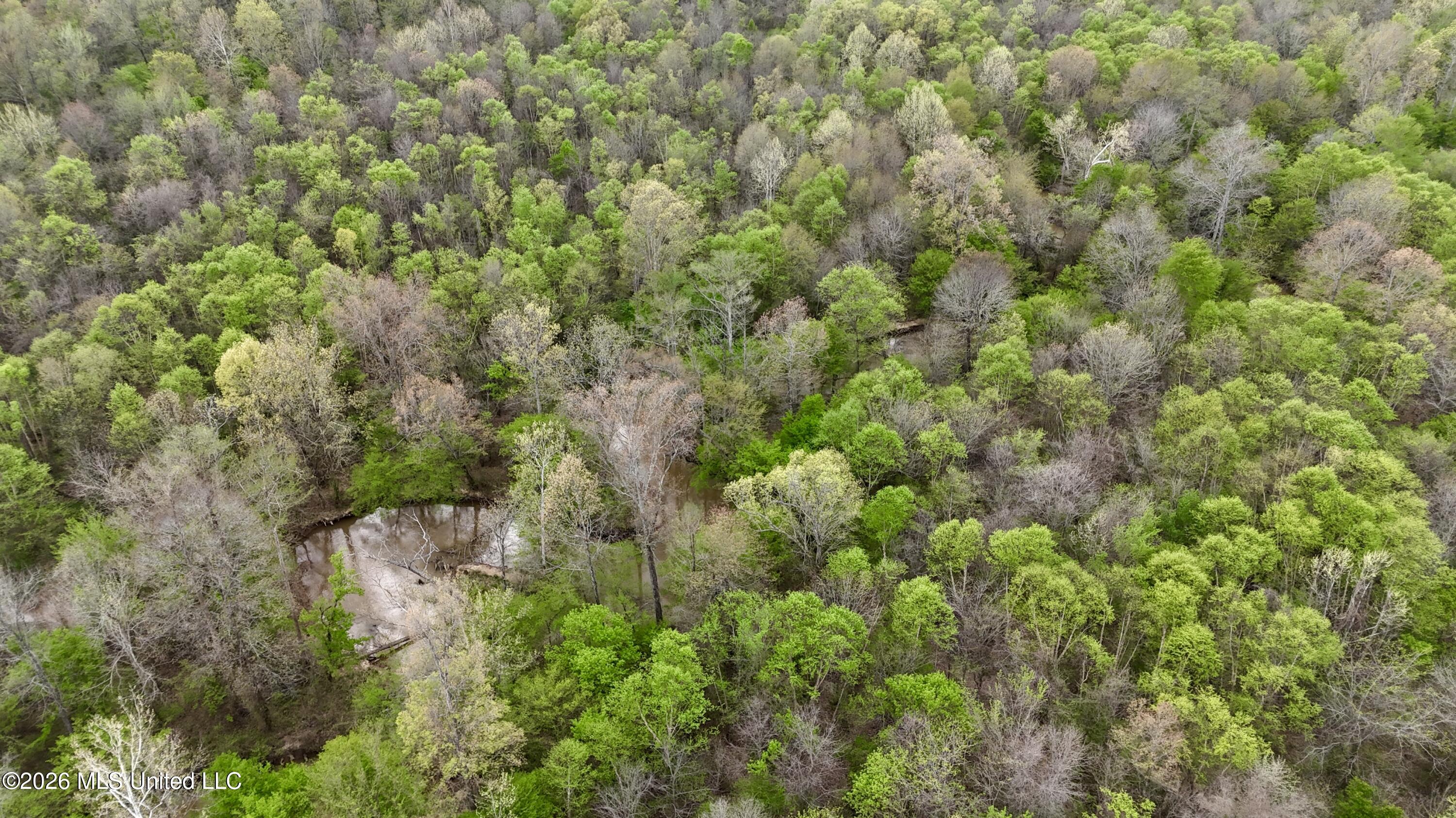 Duram Road Olive Branch, MS 38654 - Photo 9 of 21 dji_fly_20260327_162834_0236_17764371608