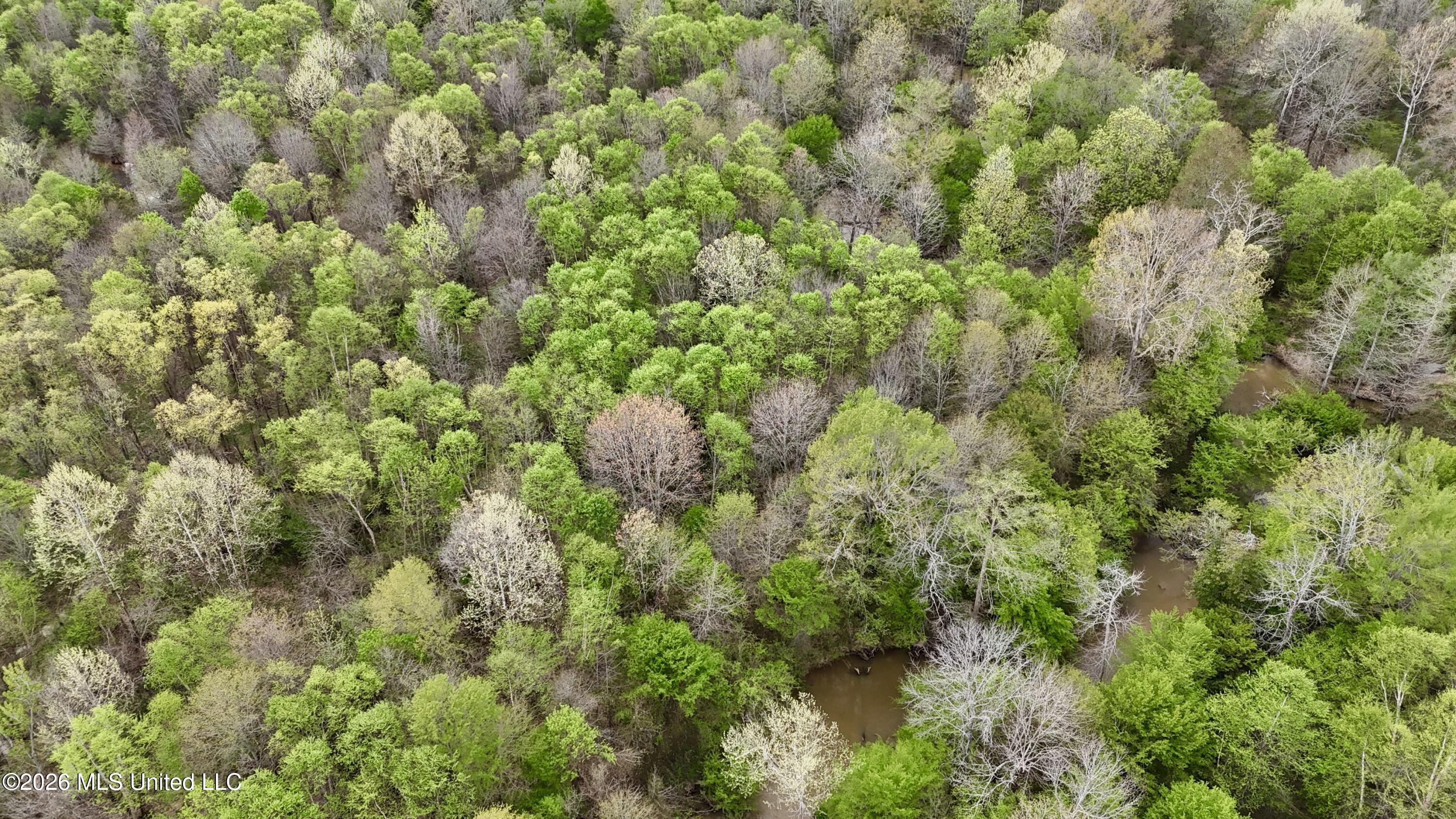 Duram Road Olive Branch, MS 38654 - Photo 10 of 21 dji_fly_20260327_162852_0237_17764371612