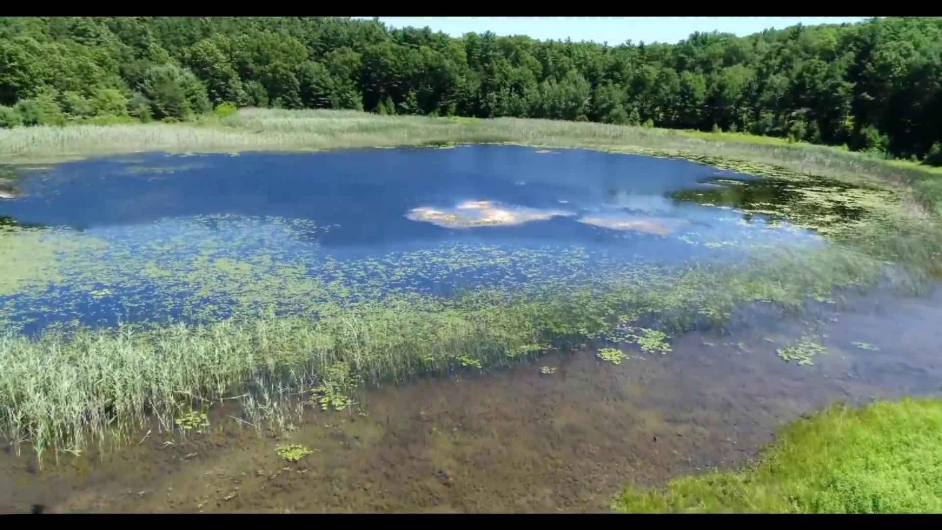 772 Red Apple Road Manistee, MI 49660 - Photo 104 of 110 Gambs Lake