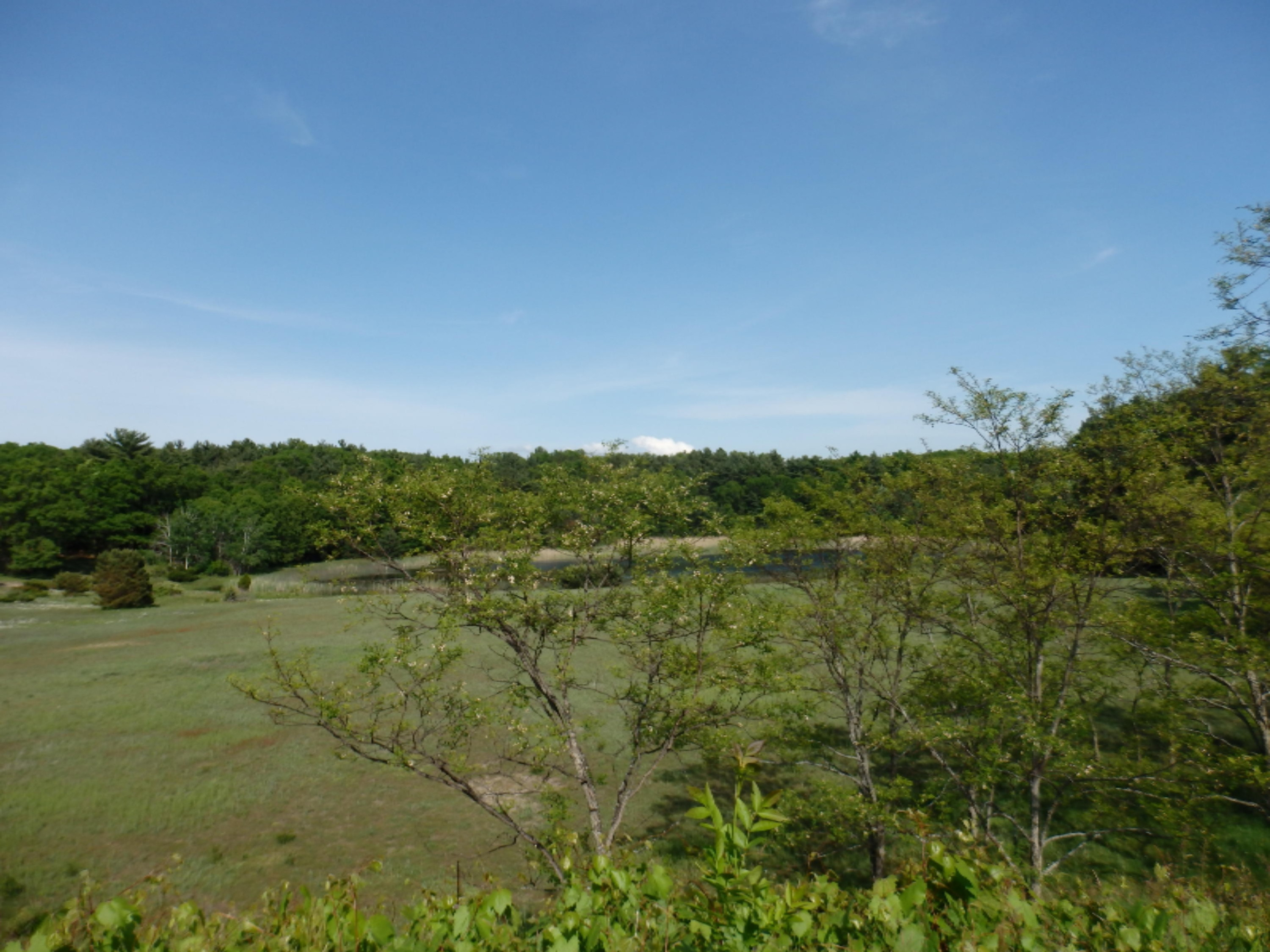 772 Red Apple Road Manistee, MI 49660 - Photo 109 of 110 P6070688