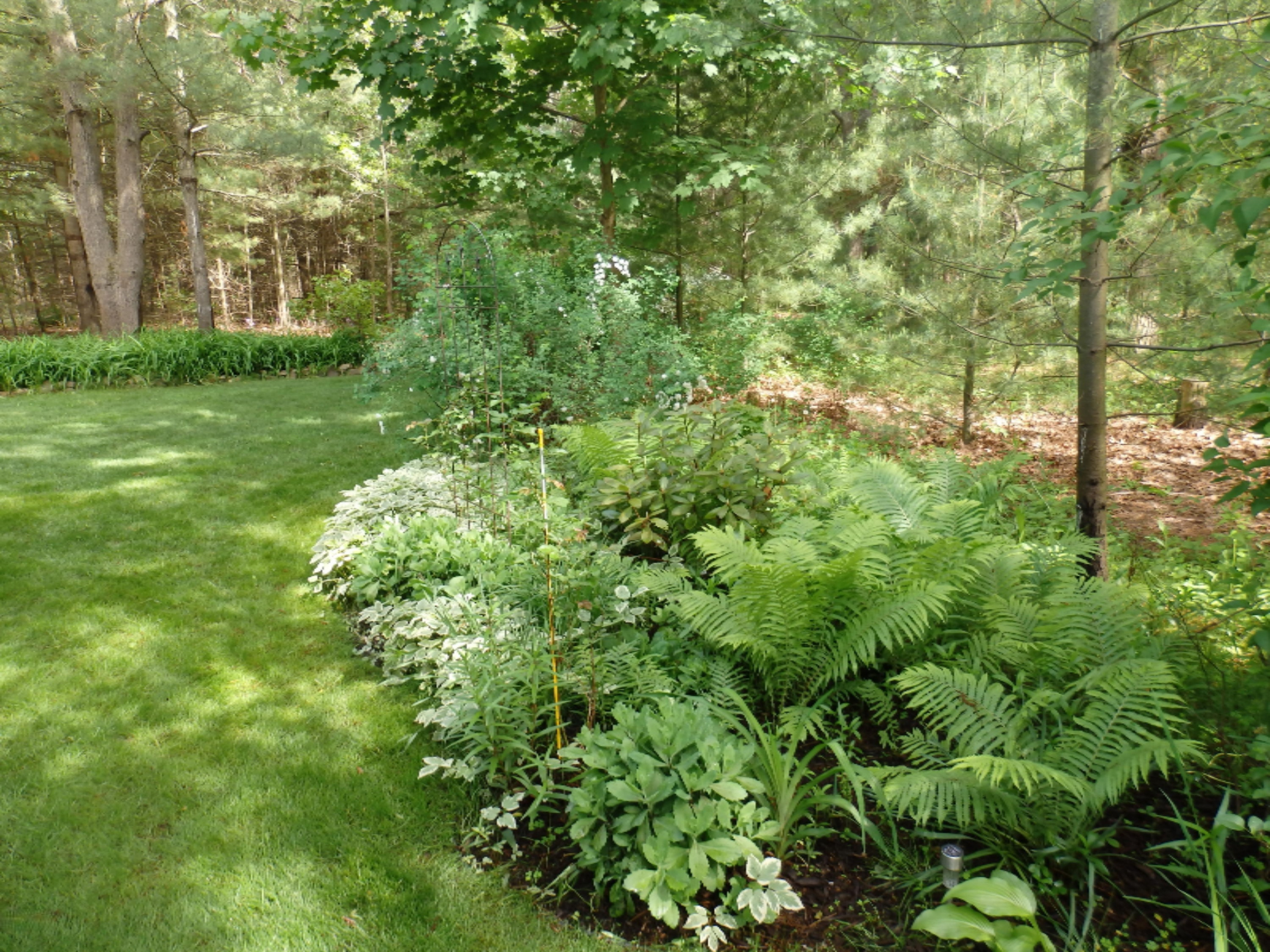 772 Red Apple Road Manistee, MI 49660 - Photo 11 of 110 P6070655