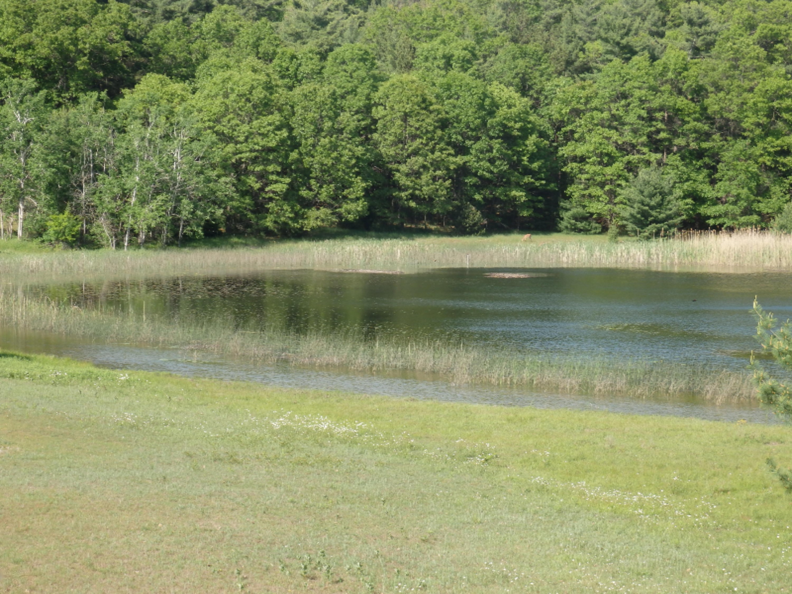 772 Red Apple Road Manistee, MI 49660 - Photo 12 of 110 Gambs Lake