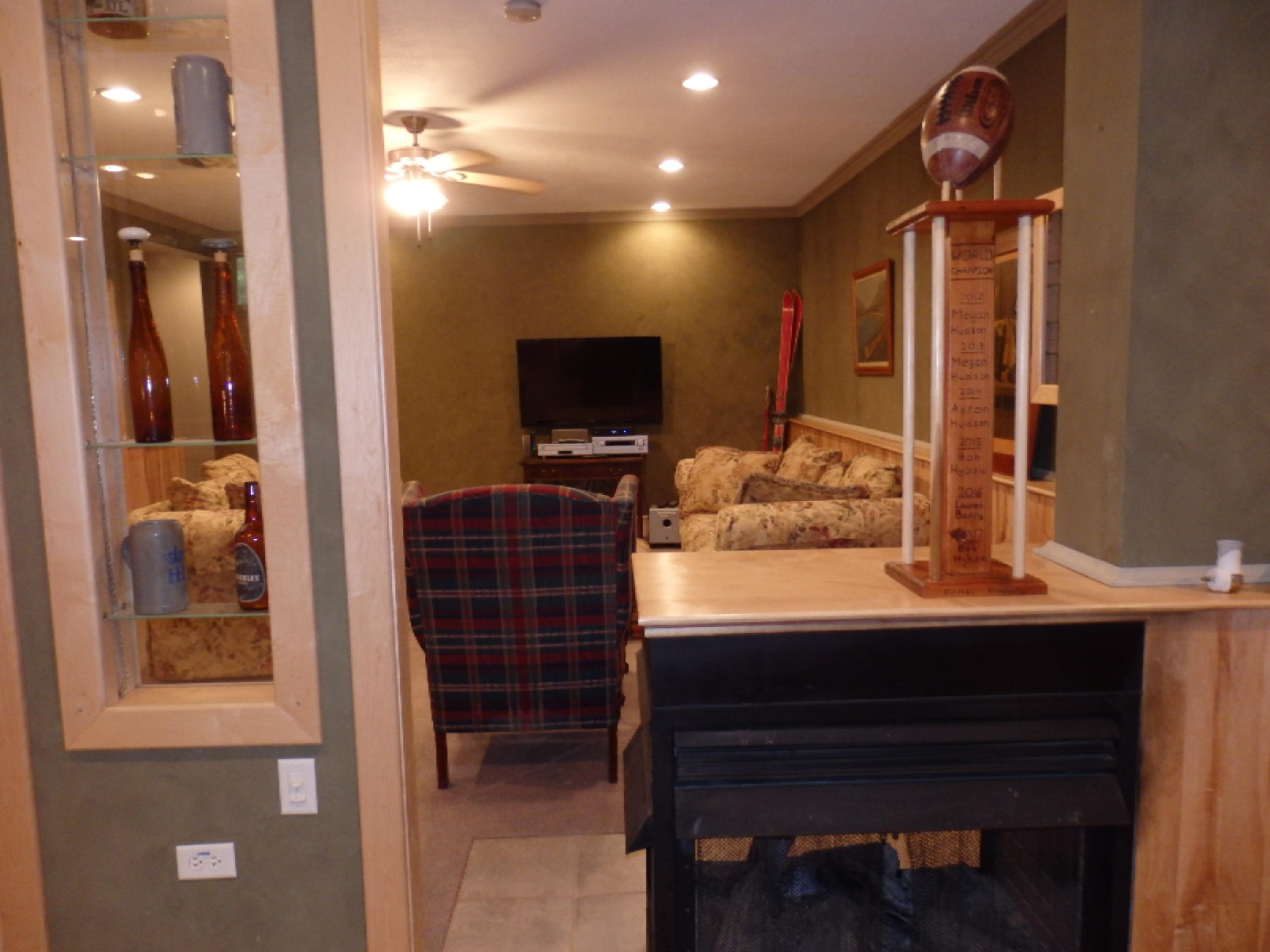 772 Red Apple Road Manistee, MI 49660 - Photo 60 of 110 Lighted curio and gas fireplace