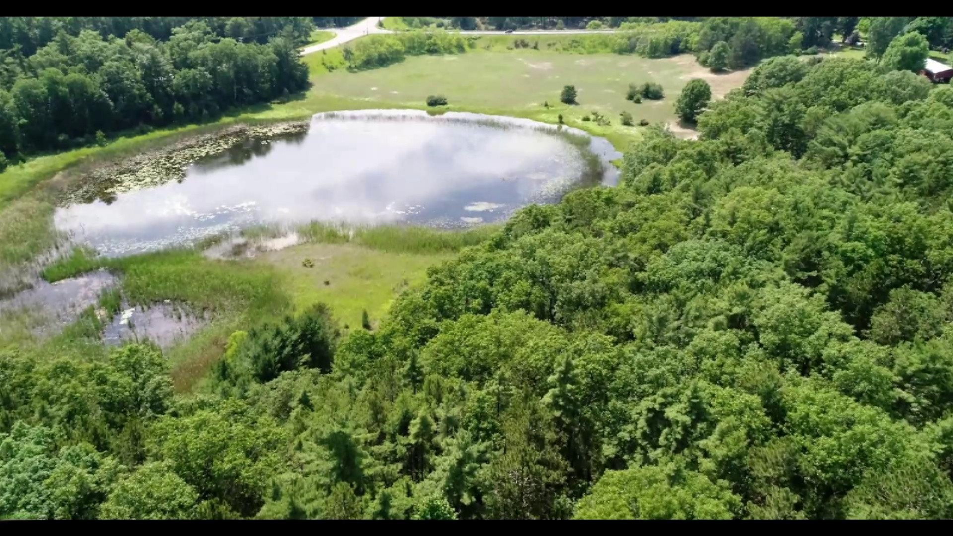 772 Red Apple Road Manistee, MI 49660 - Photo 7 of 110 Gambs Lake and woods