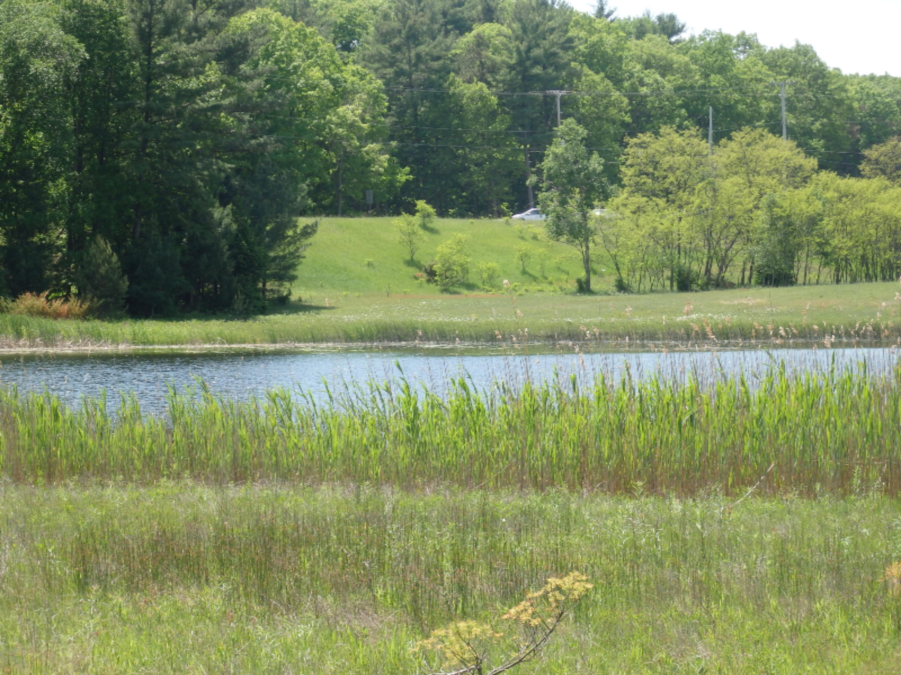 772 Red Apple Road Manistee, MI 49660 - Photo 80 of 110 P6080691