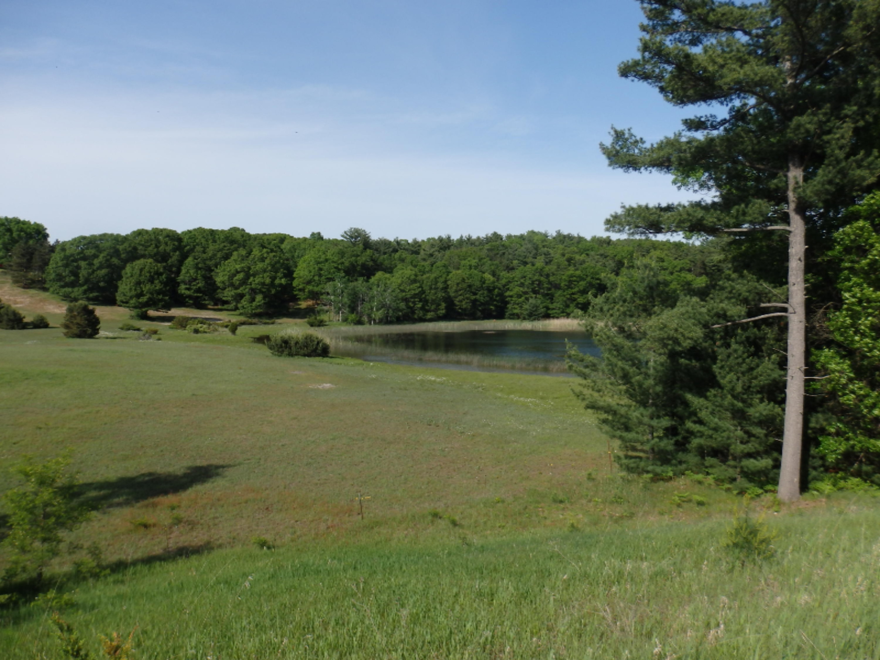 772 Red Apple Road Manistee, MI 49660 - Photo 83 of 110 P6070686