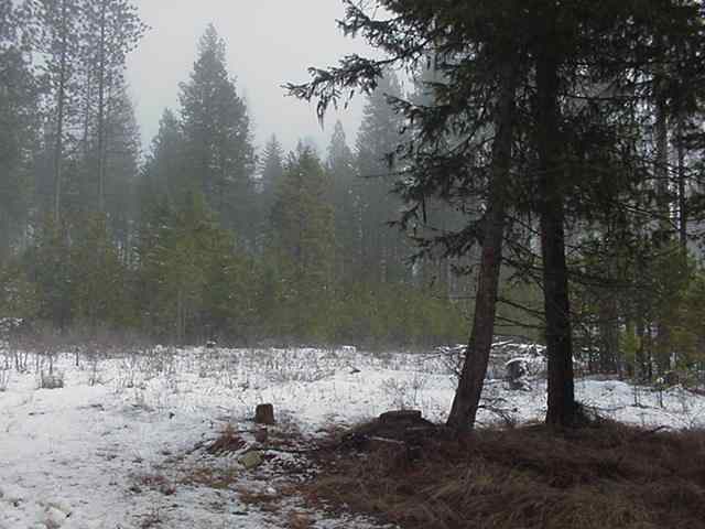 0 Bussard Lk Road Loon Lake, WA 99109 - Photo 1 of 4 Gallery Image 1