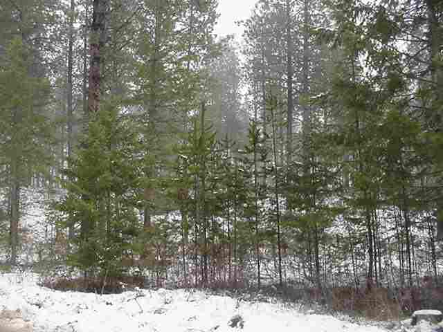 0 Bussard Lk Road Loon Lake, WA 99109 - Photo 3 of 4 Gallery Image 3