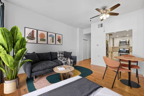 a living room with furniture a potted plant and a rug