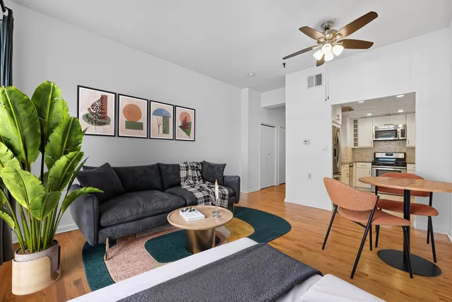 a living room with furniture a potted plant and a rug
