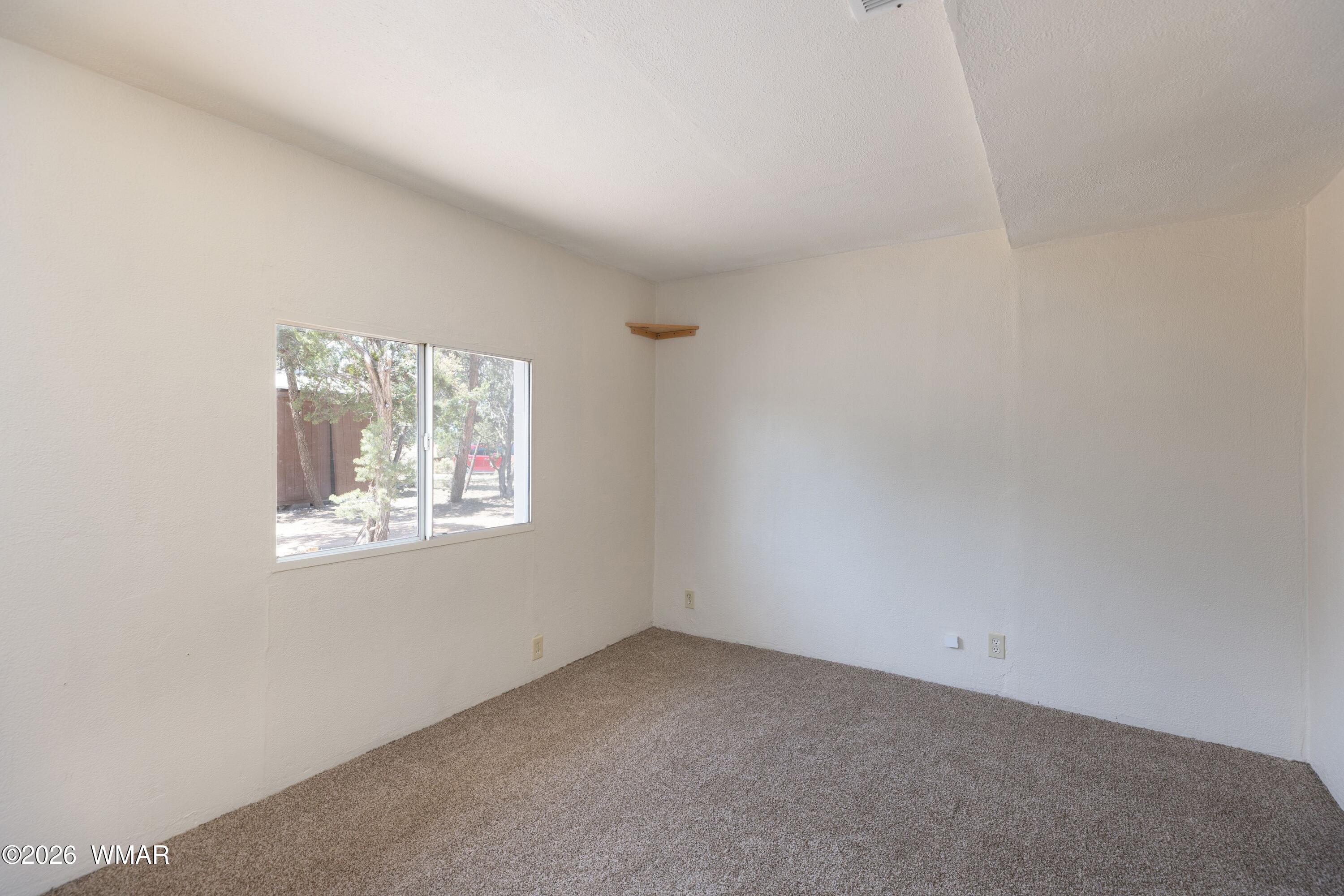3611 Pine Rim Drive Overgaard, AZ 85933 - Photo 10 of 22