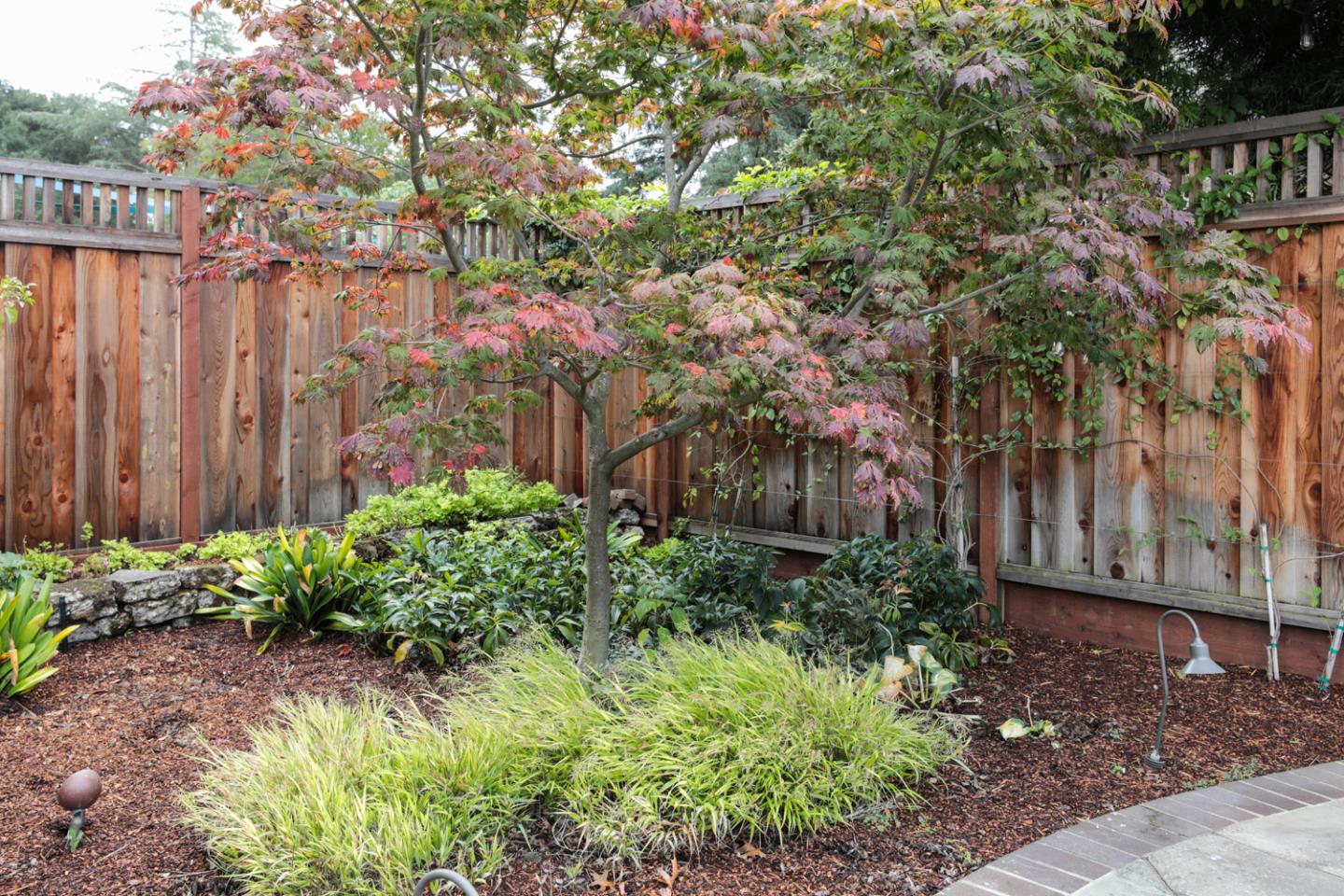 732 Laurel Avenue Menlo Park, CA 94025 - Photo 19 of 22 a backyard of a house with lots of green space