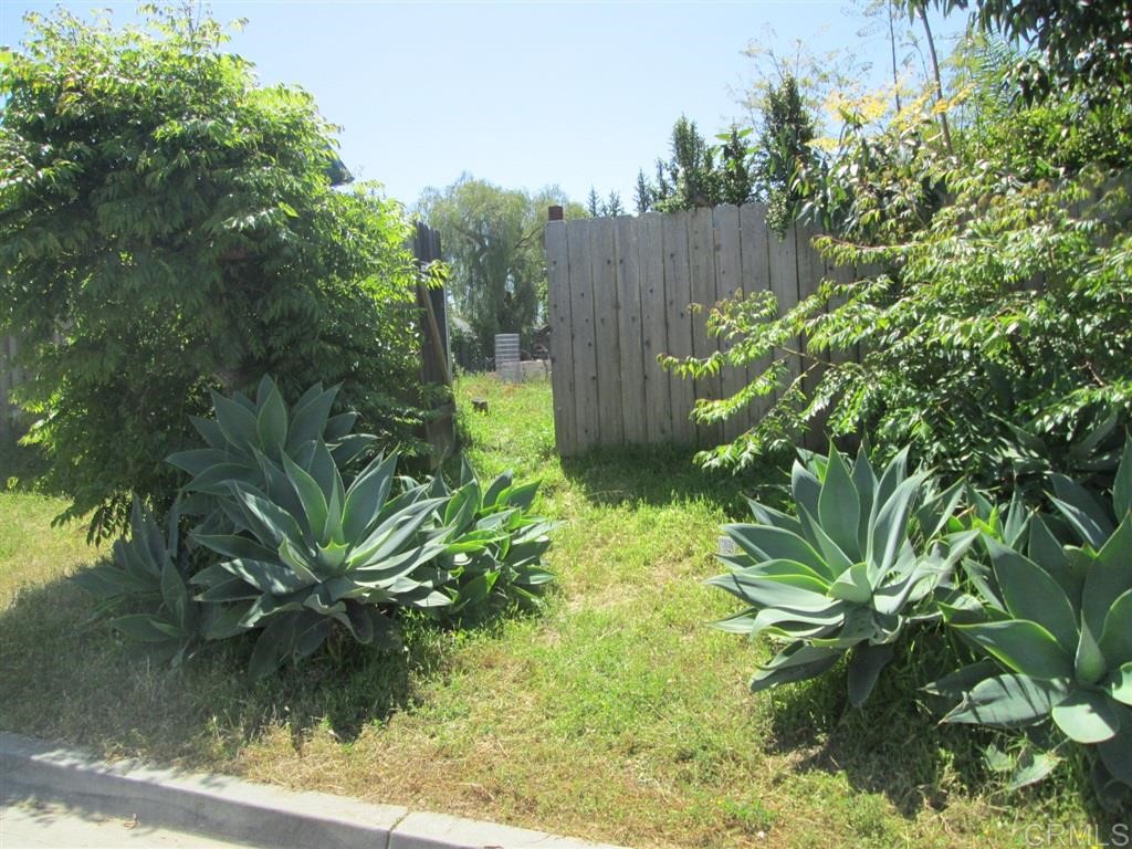 a plant that is in front of the house