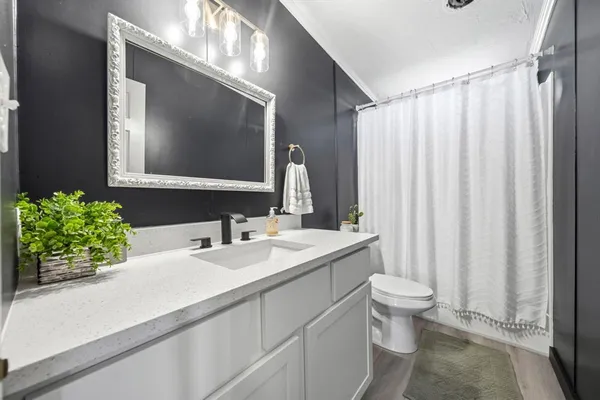 a bathroom with a sink a toilet and a mirror