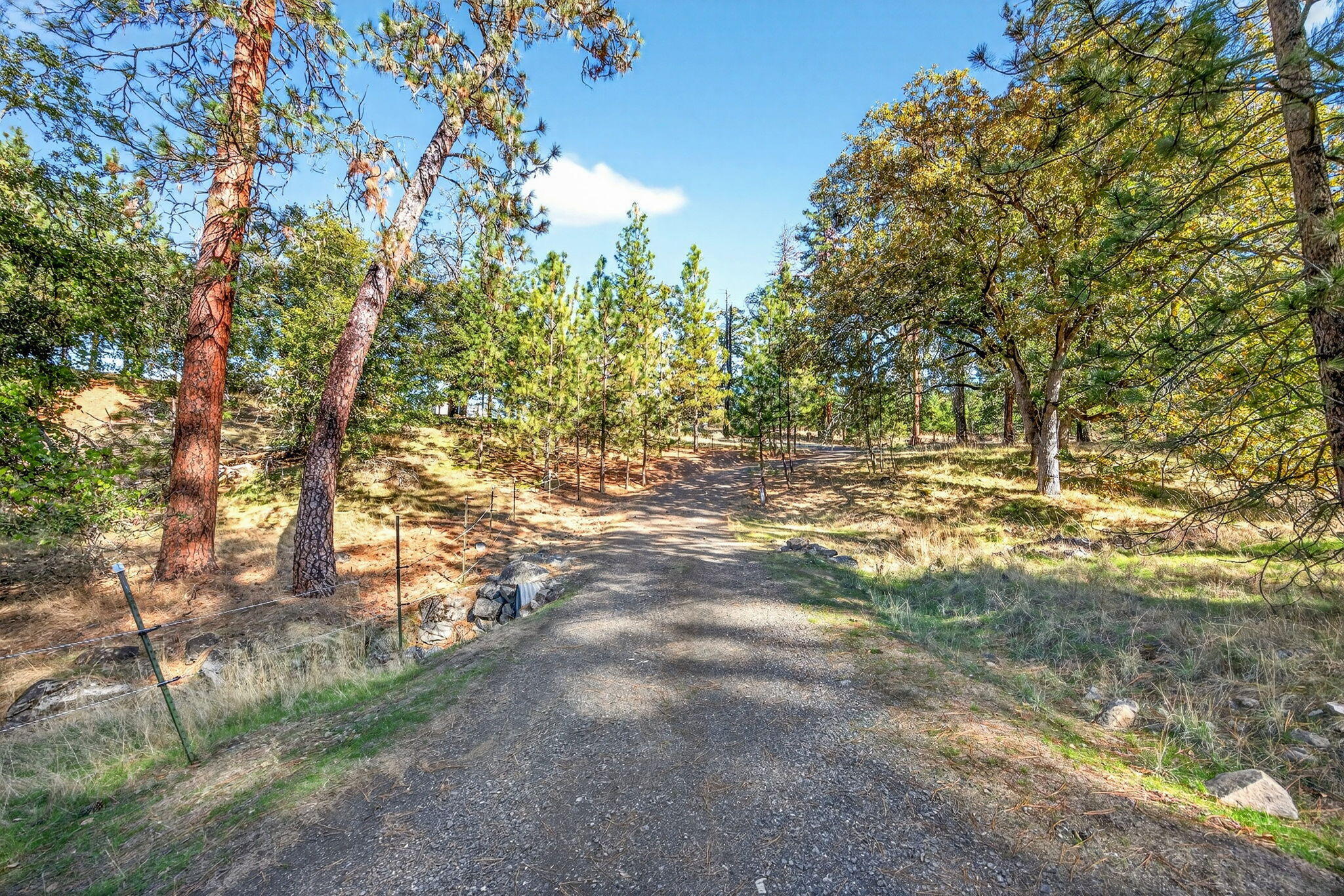 2467 Eastside Road Jacksonville, OR 97530 - Photo 45 of 85 ApxER00046